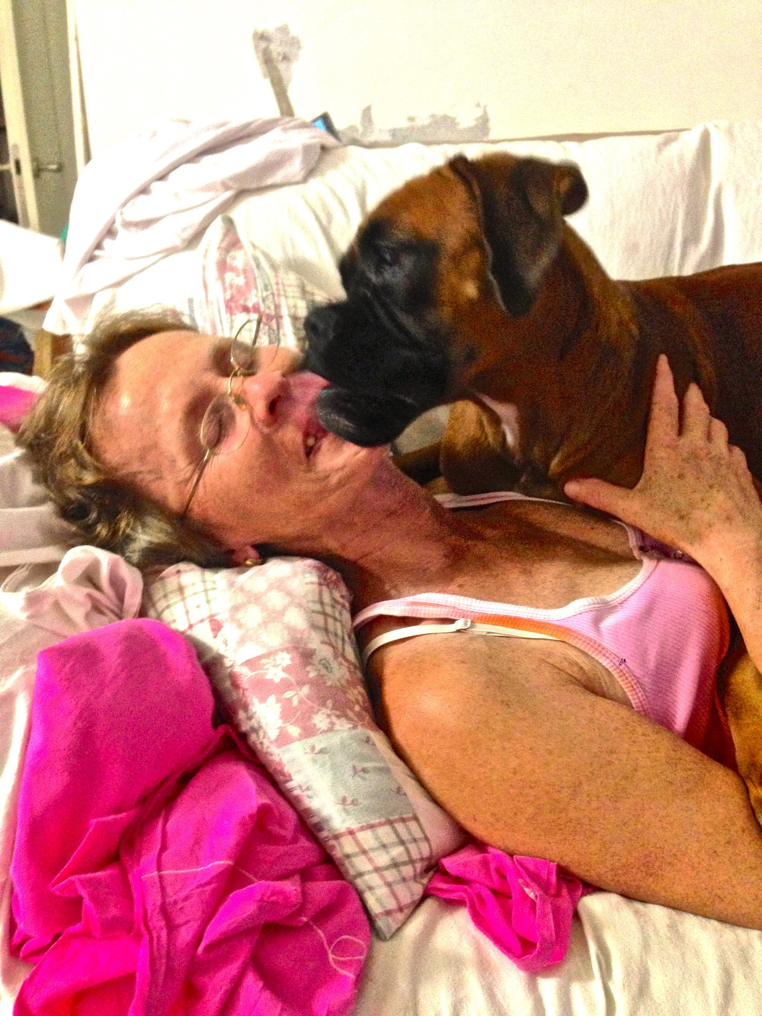 My ״Star״ Boxer Dog