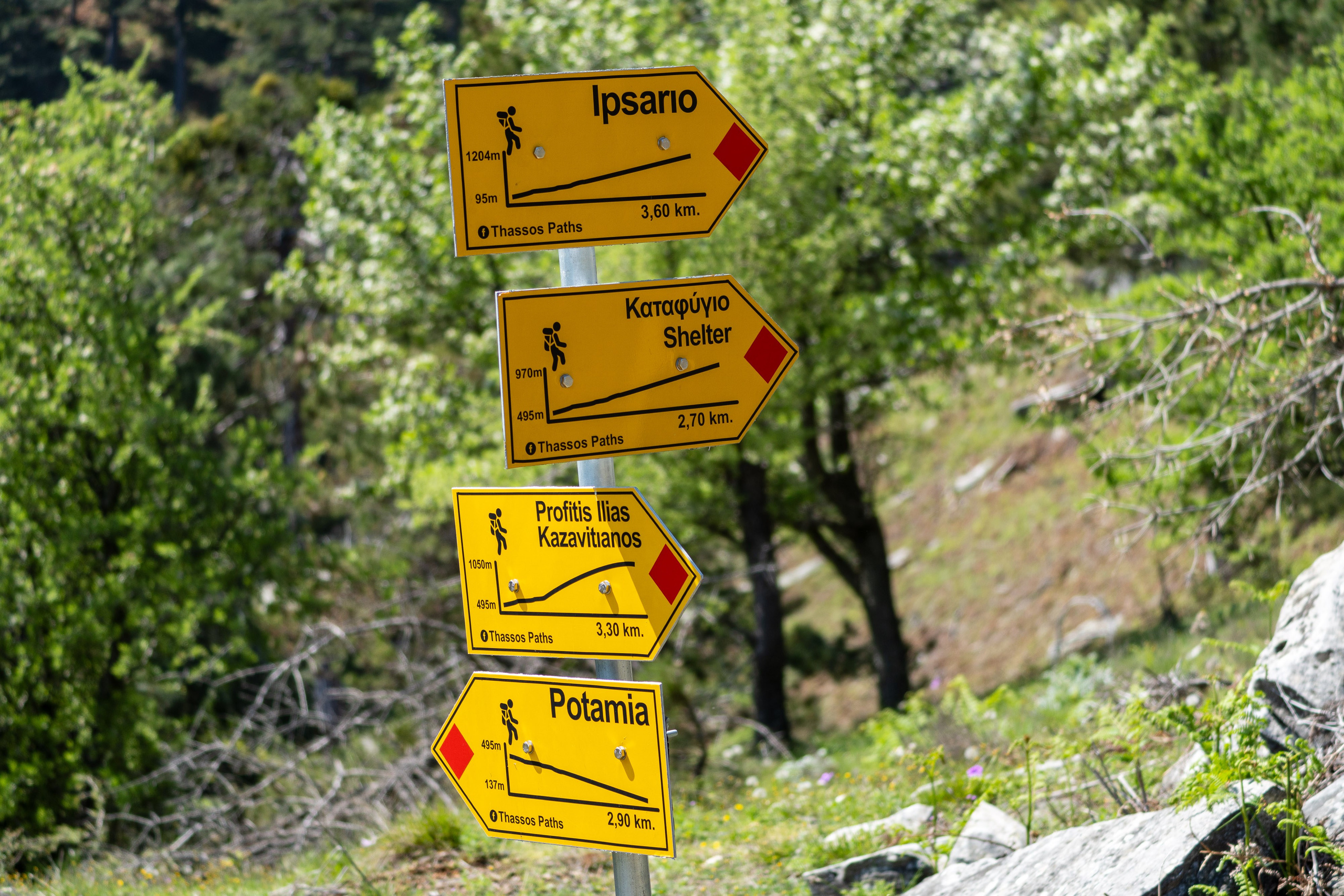 Thasos 2025. Fotografiideplacere.net