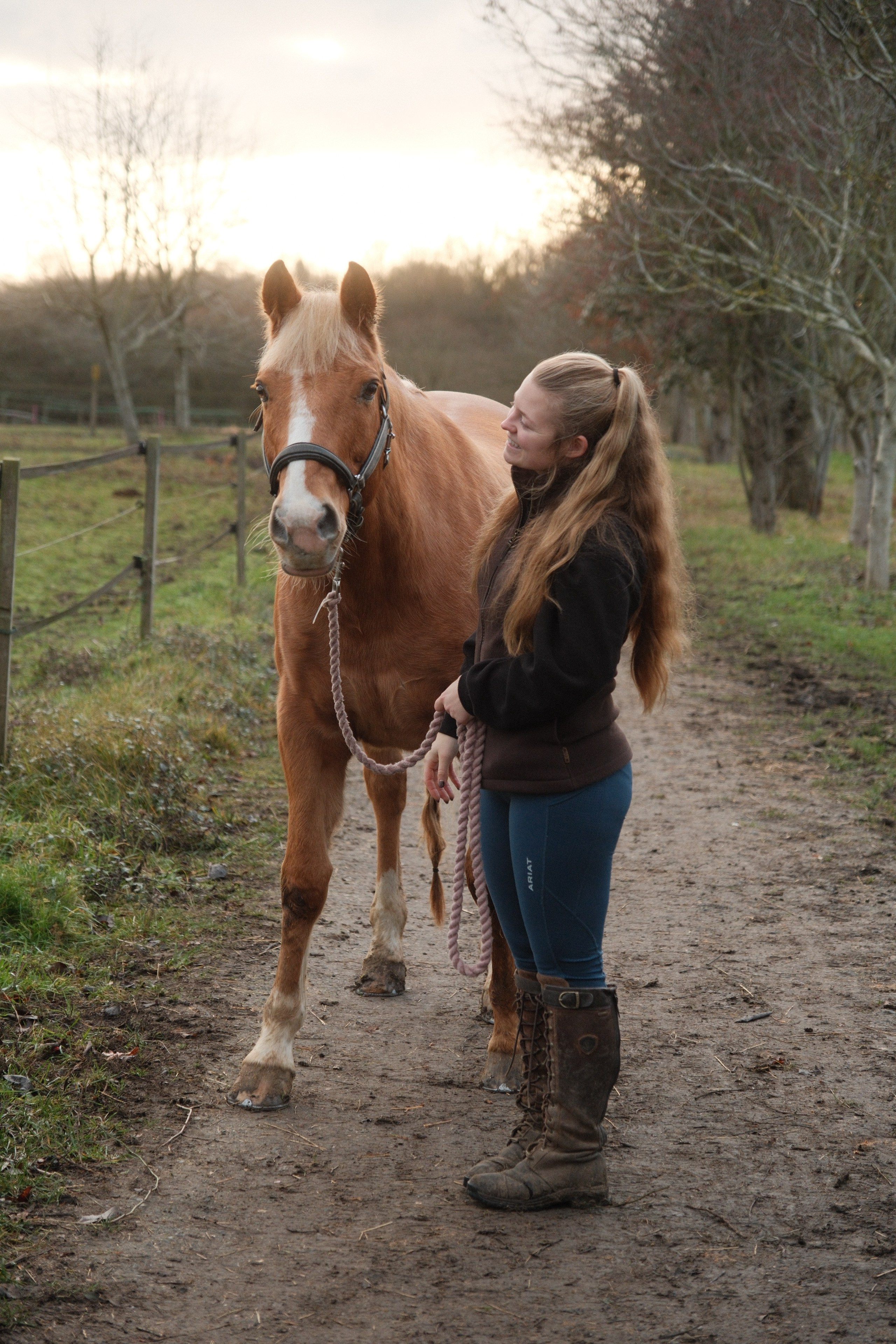 Portrait photography with Fudge the horse. Cal Takes Photos