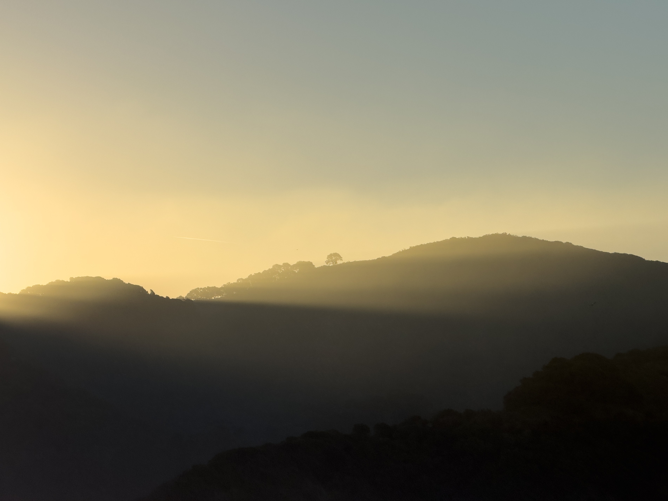 San Francisco. Aleks.photo | Book a photoshoot