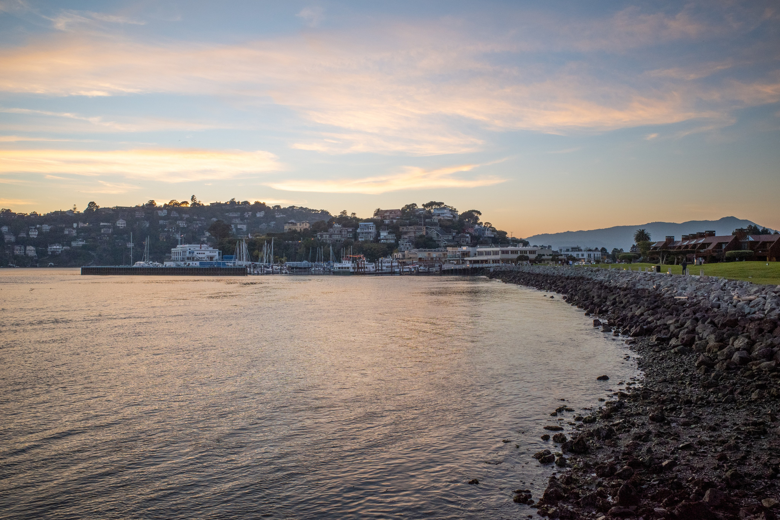 San Francisco. Aleks.photo | Book a photoshoot