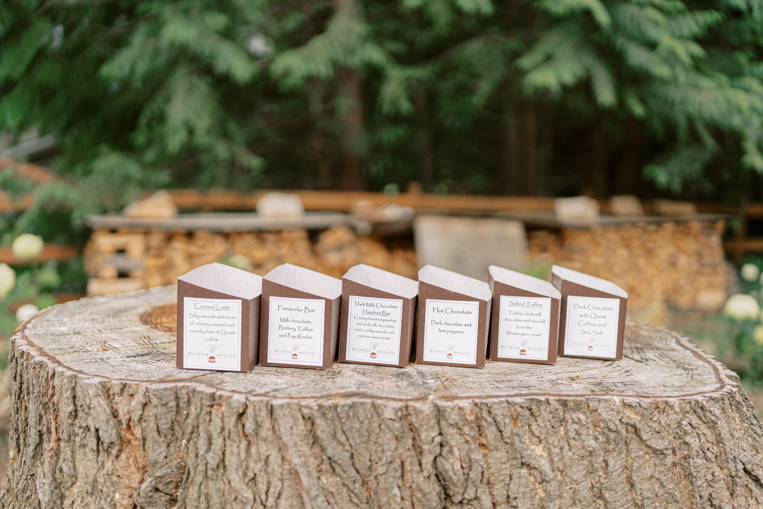 Event: Chocolate-Making Workshop. EVAN ARISTOV WEDDING PHOTOGRAPHY — Seattle Wedding Photographer