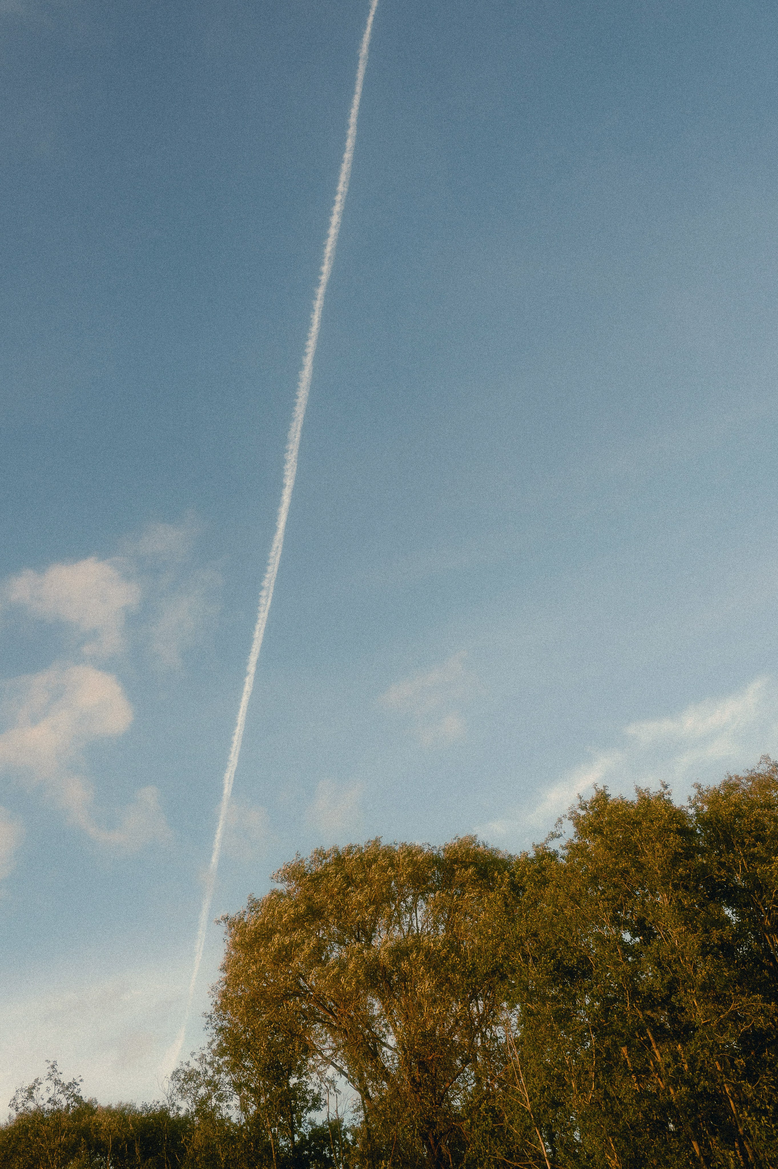 Smiltė ir Eligijus. Santa Jonuškė | Vestuvių fotografė