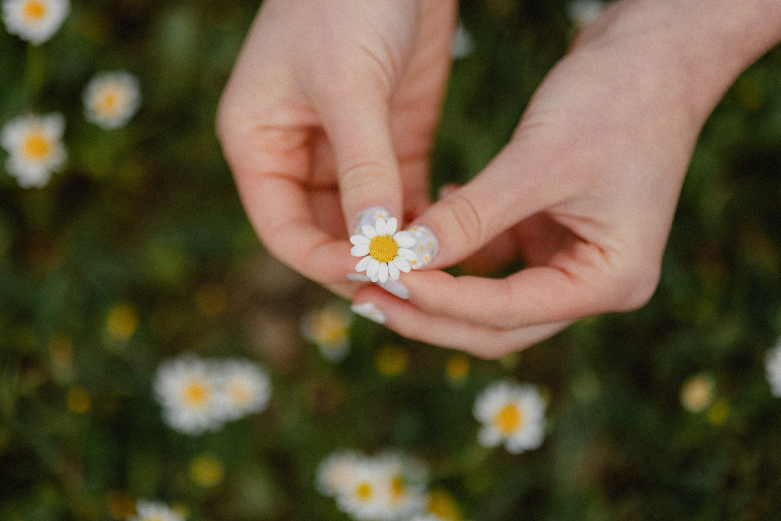 Promise Forever. Https://shi-photo.com/
