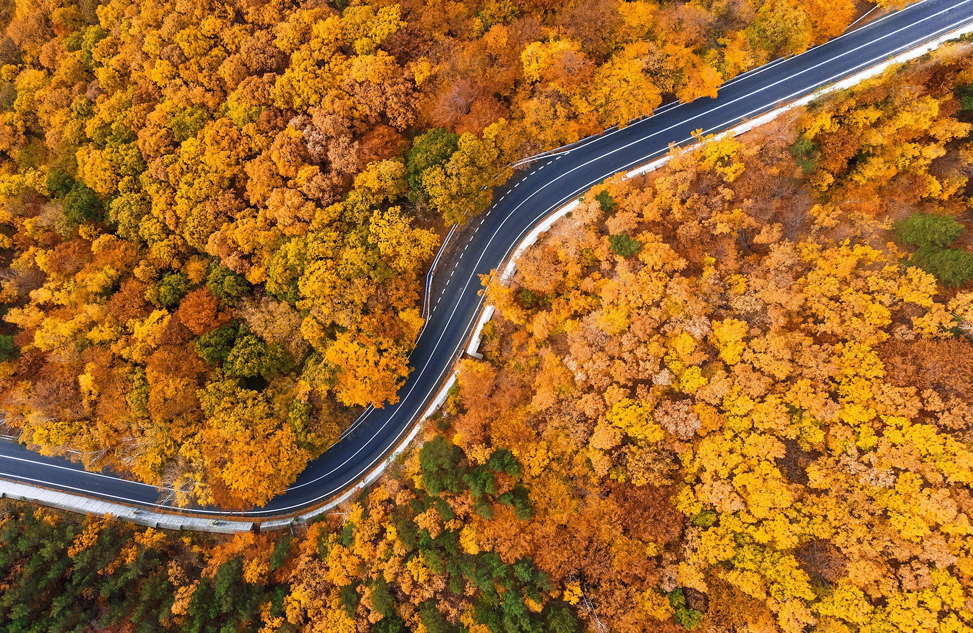Romania. Imagini frumoase din Romania - fotograf travel Andrei Zveaghintev. Fotograf nunta si familie in Moldova, Chisinau - Andrei Zveaghintev