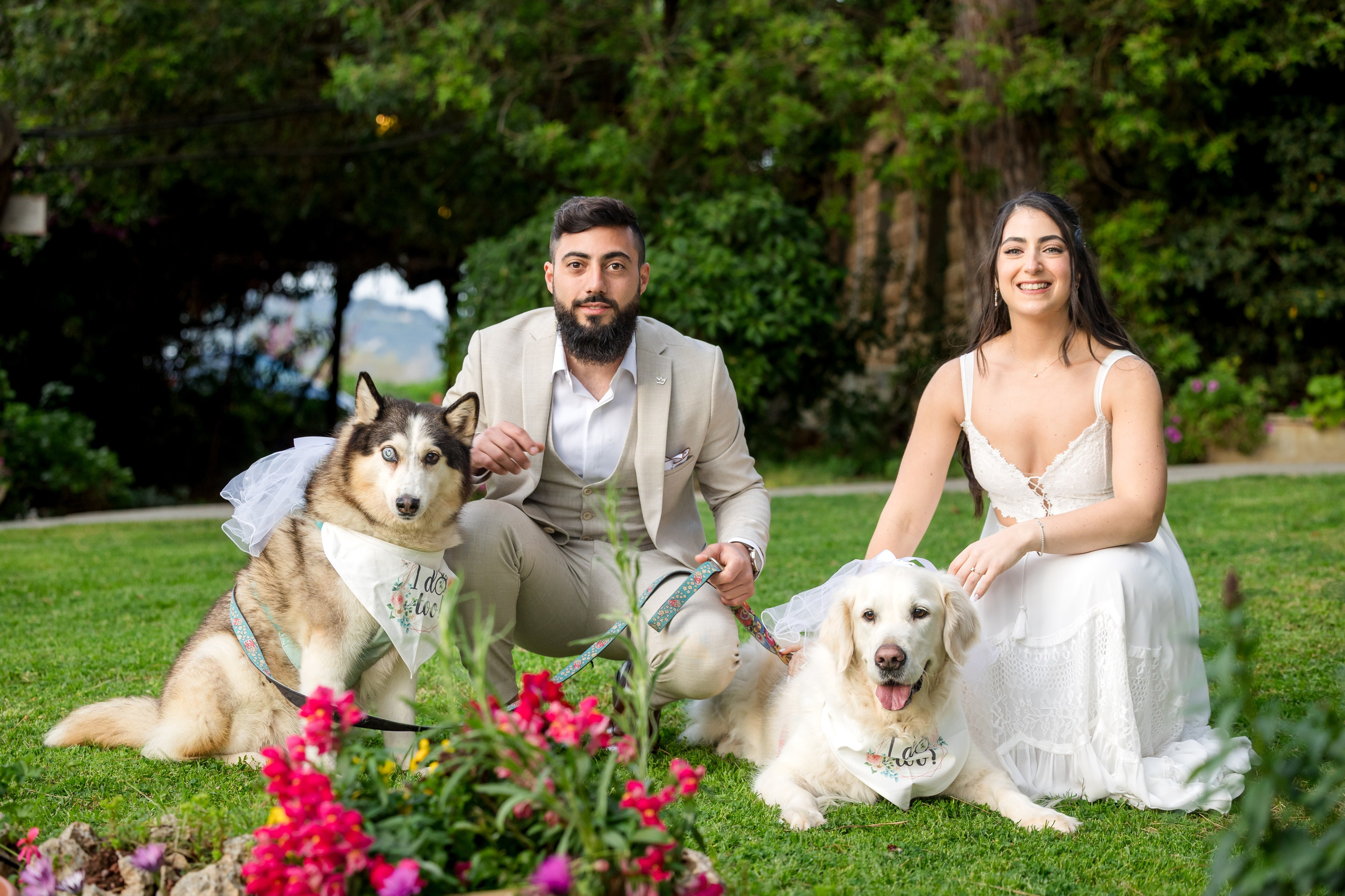 WEDDINGS. AMIR BUCHNIK PHOTOGRAPHER