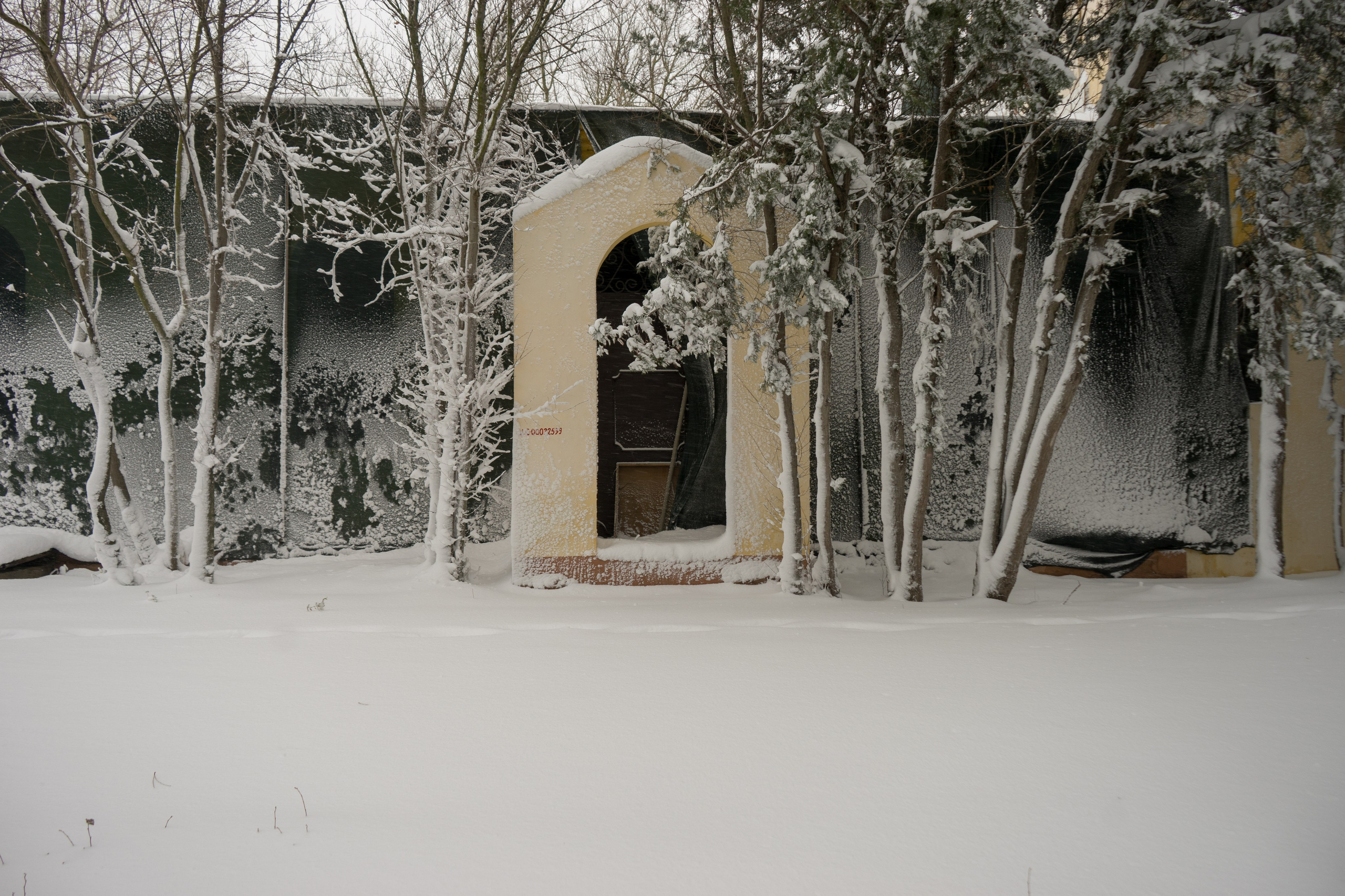 The Island of Crimea. Stanislava Novgorodtseva — Photographer | Visual Artist | Educator