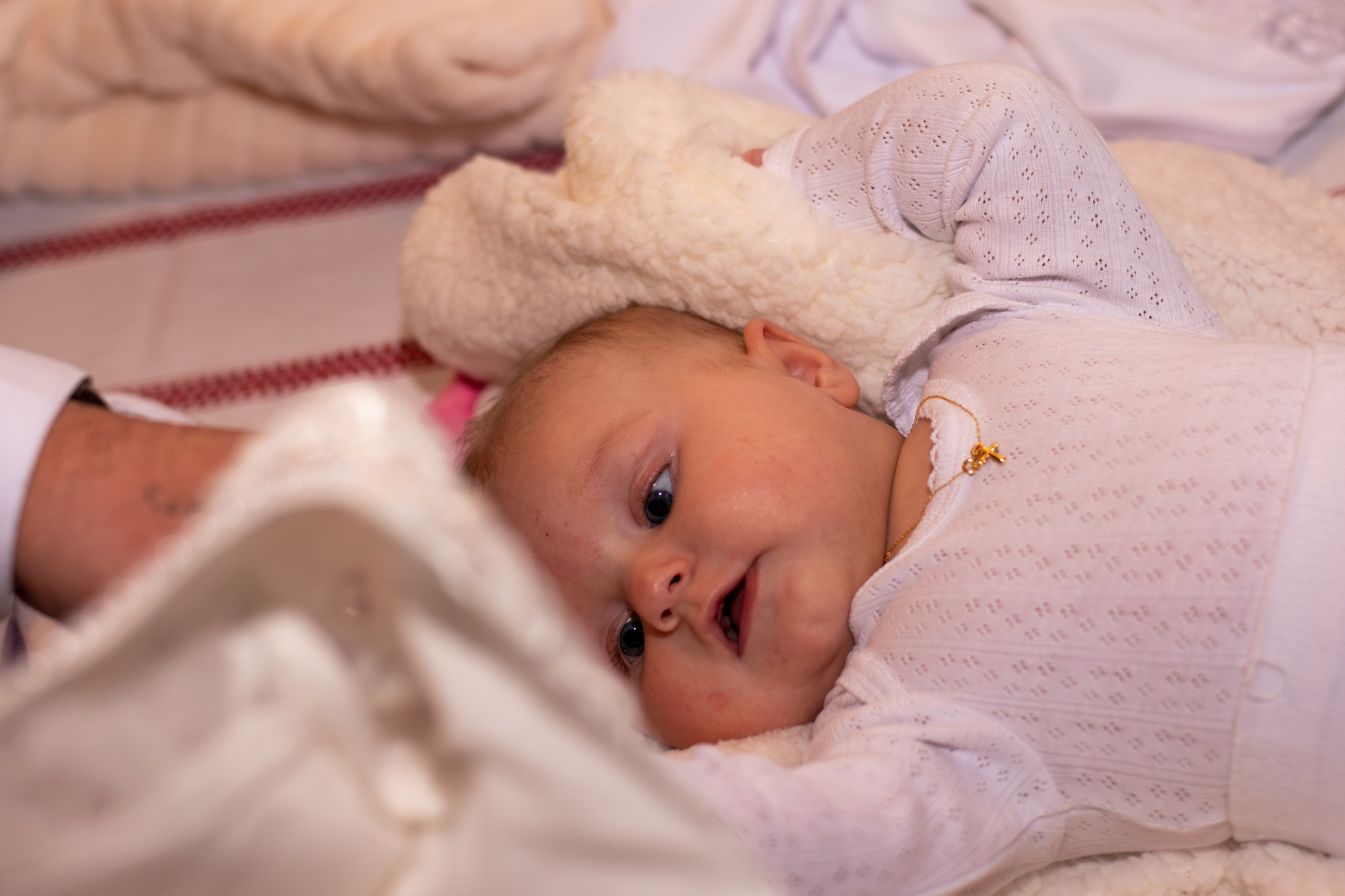 Milanya. Fotograful și Cameramanul familiei dvs în Franța Paul Photographer