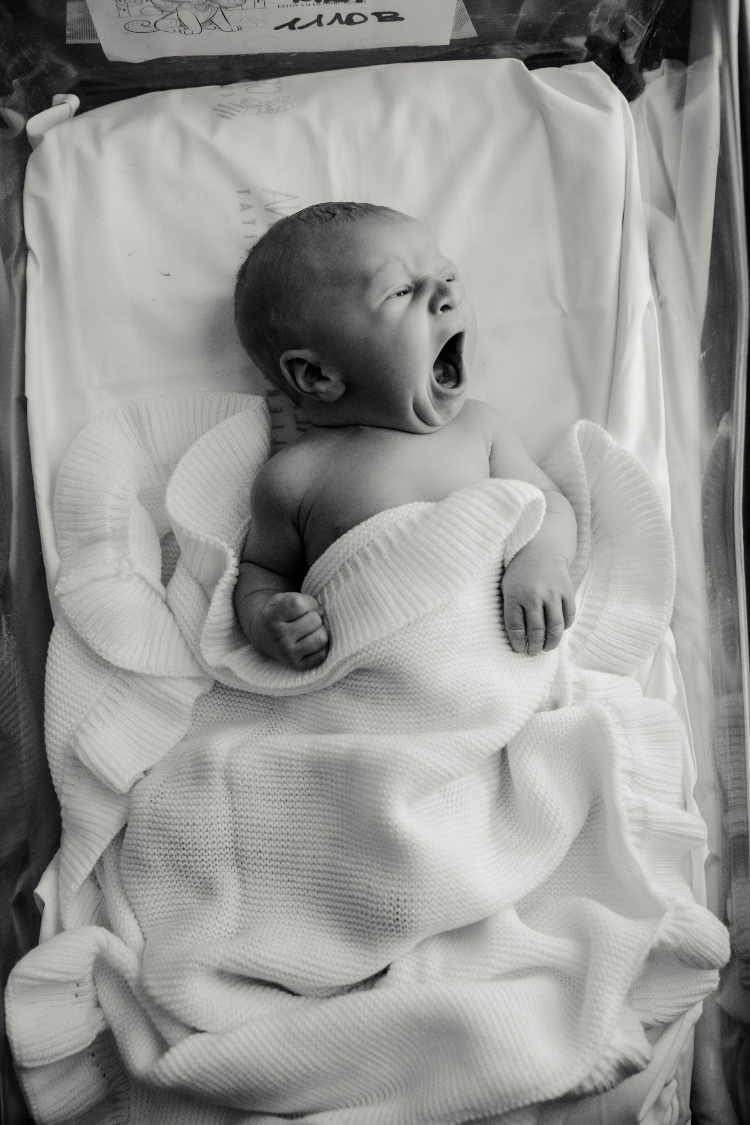 Fresh 48. Фотограф в Испании: Бенисса, Кальпе, Бенидорм, Аликанте Виктория Гунн