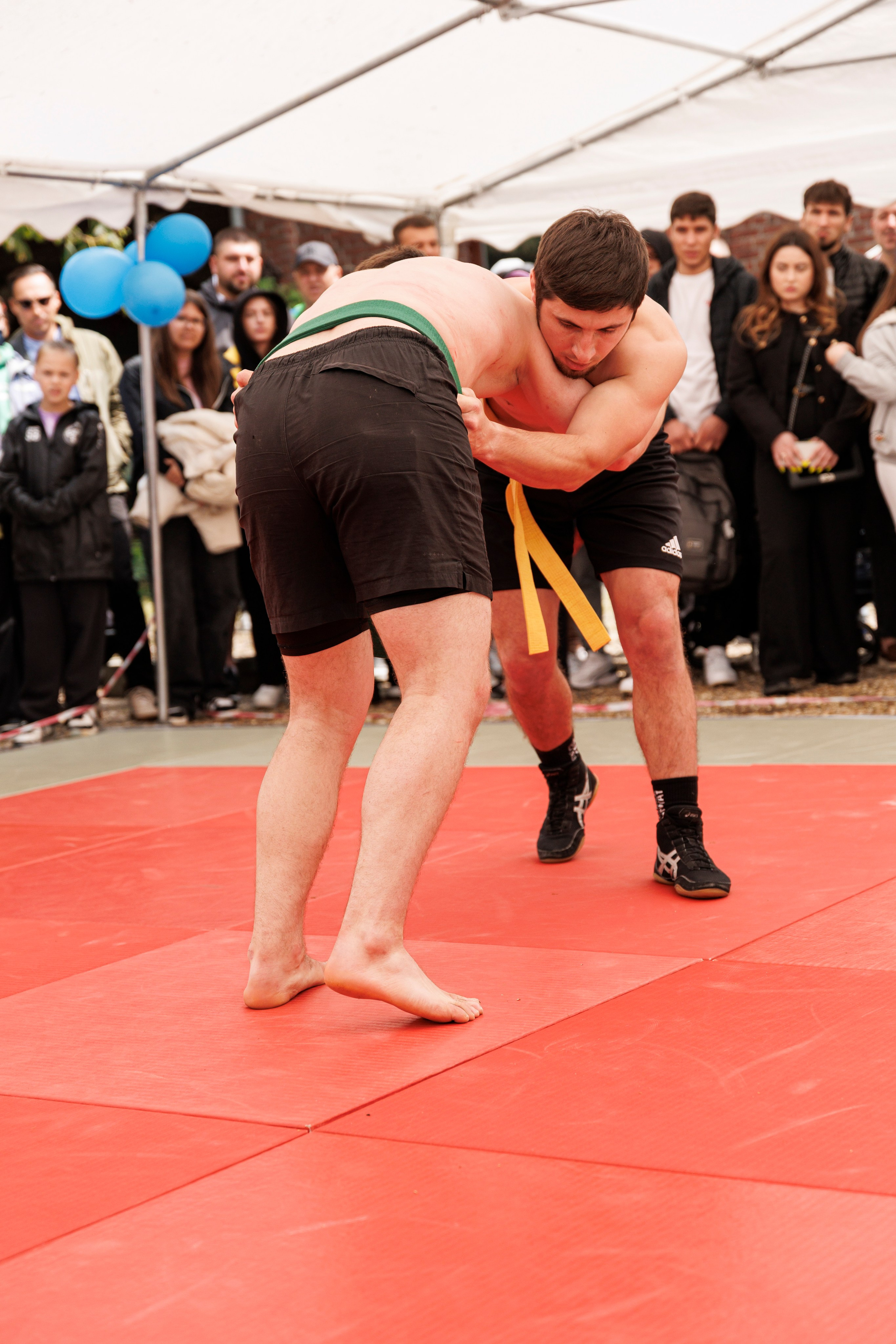 Hora Dorului 2025. Dienstleistungen