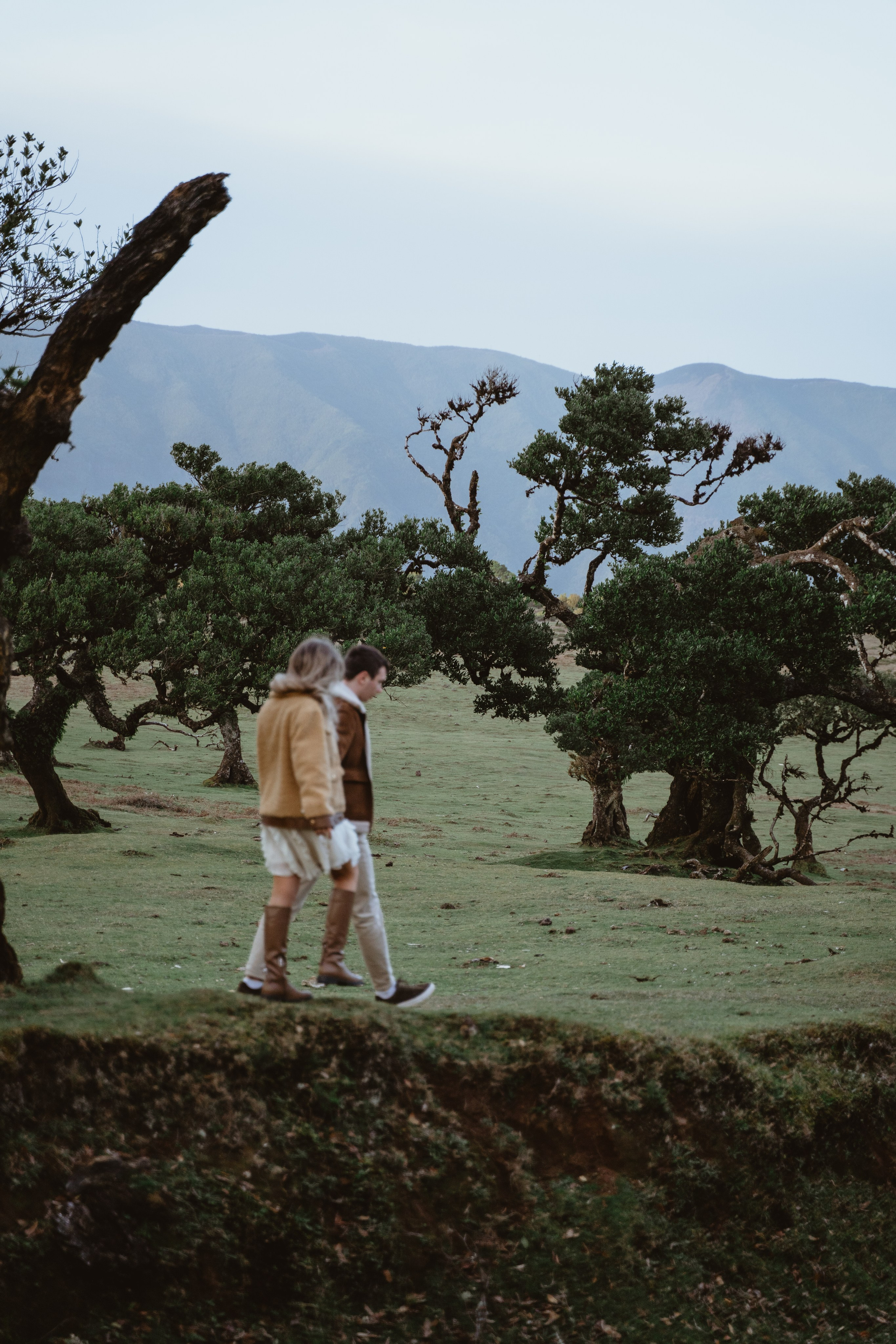 Love Story in Fanal Forest | Madeira Couple Photoshoot. Your photographer in Madeira