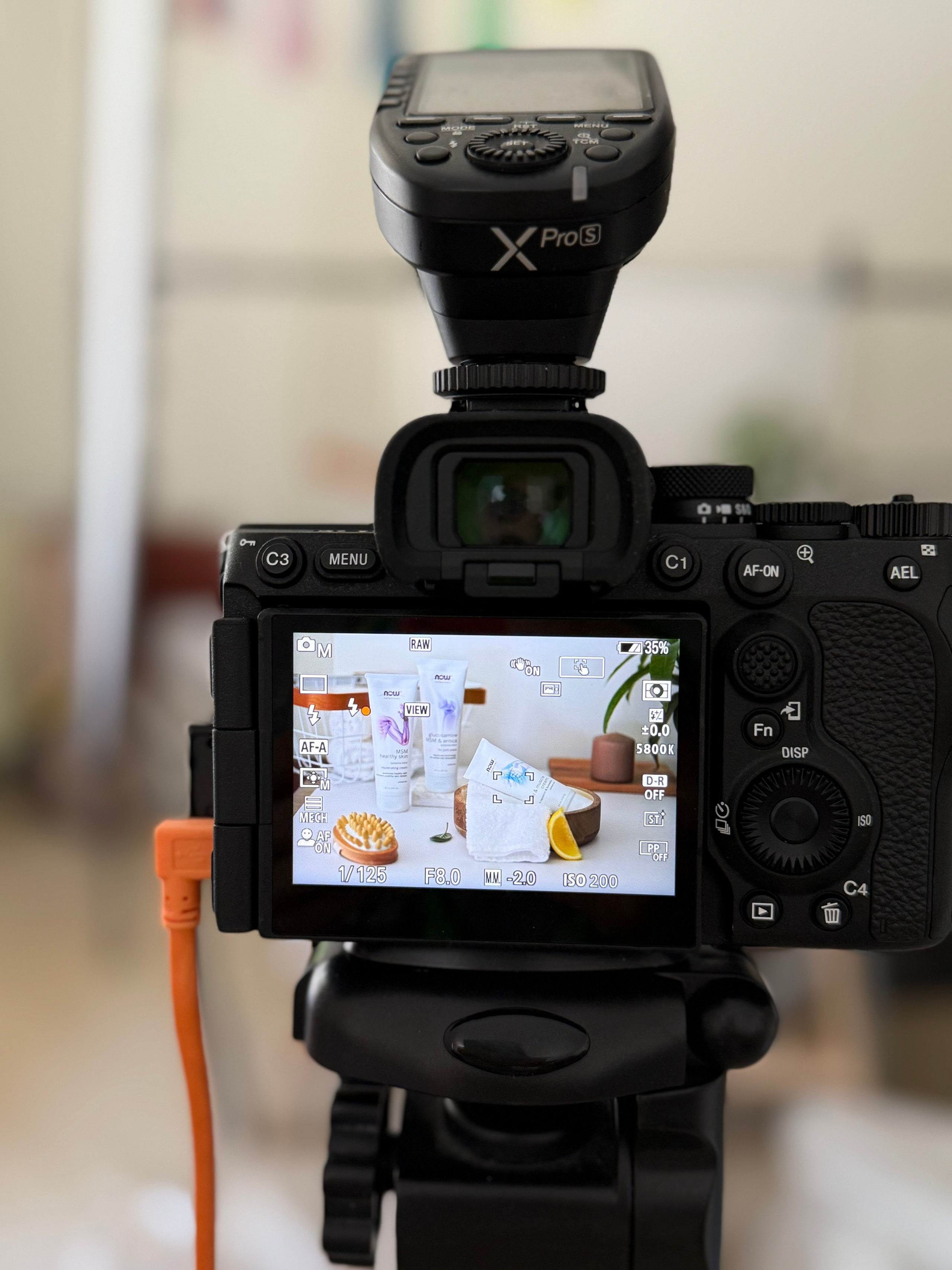 LILIIA ZABOTKINA food photographer California