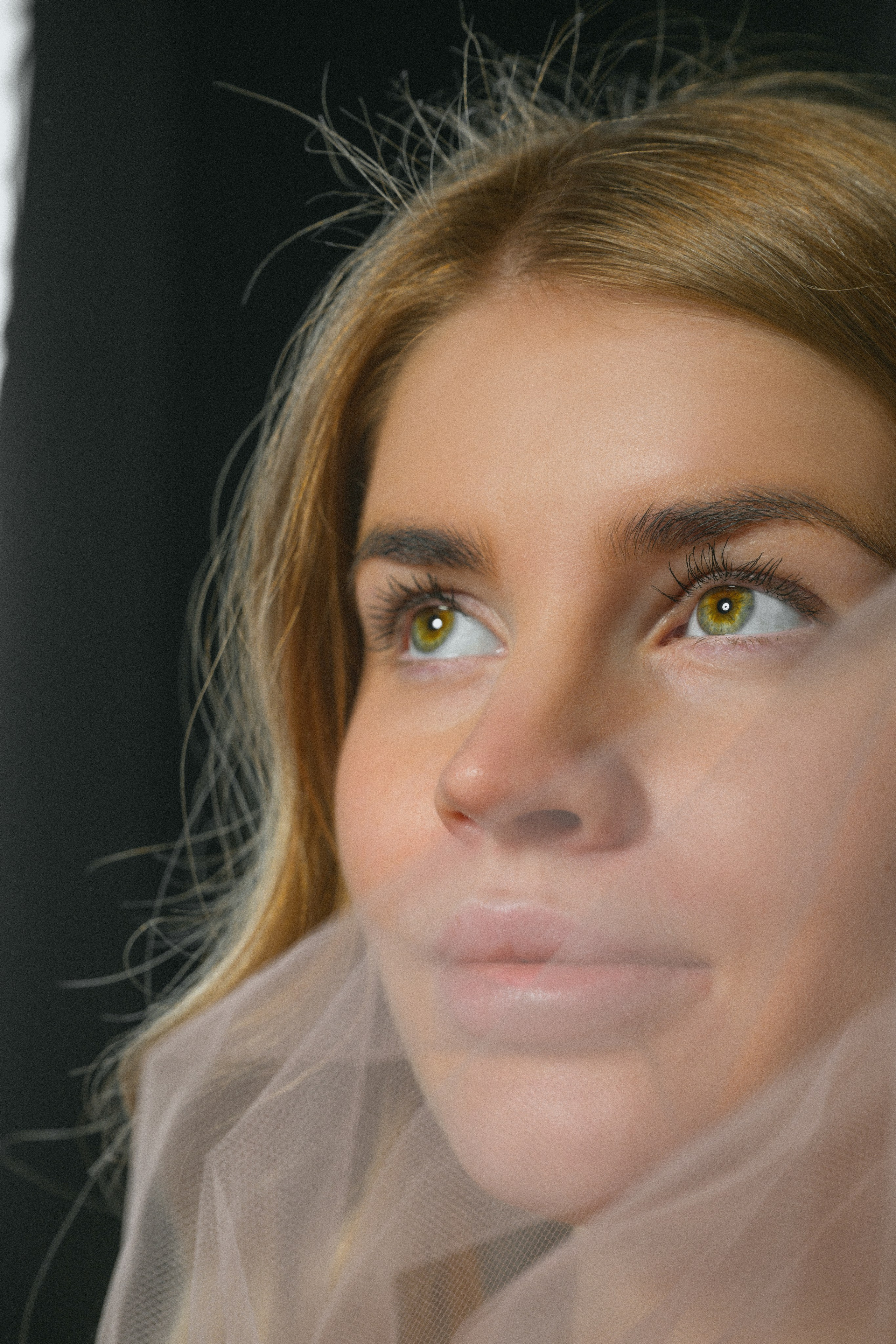 Gravidfoto. Familiefotograf i Narvik kommune