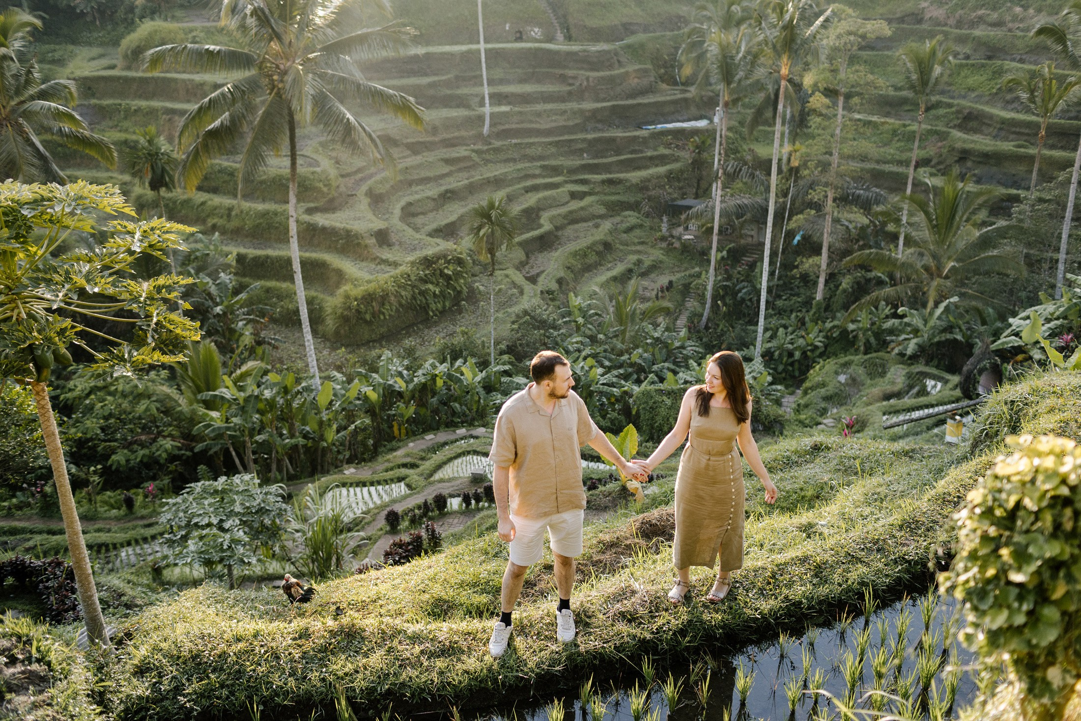 Rice Terraces. Getitfeel — Aesthetic Photography and Videography