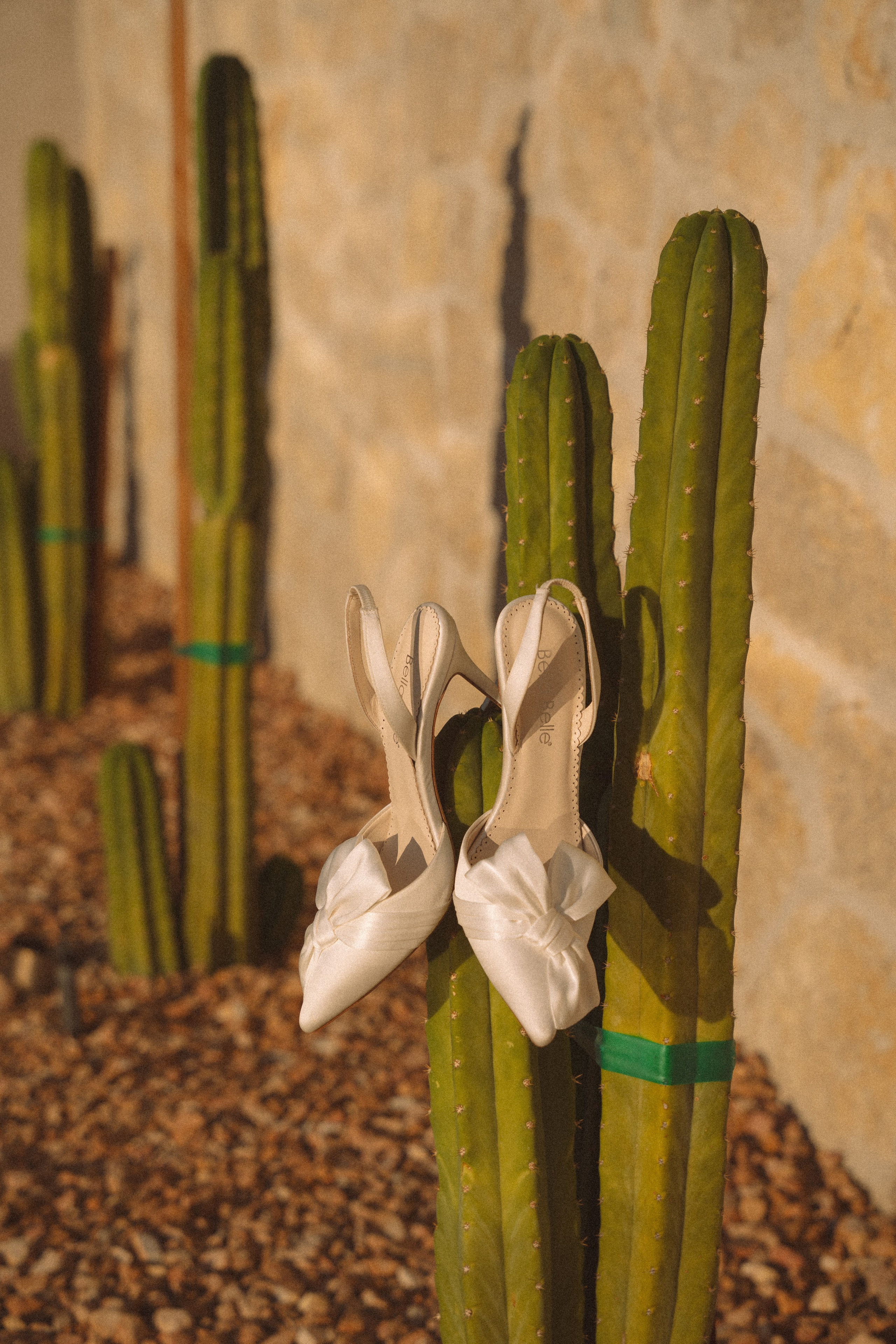 Joshua Tree wedding. Joshua tree elopement. Wedding for 2. Wedding photographer Joshua Tree. Elopement photographer in Joshua Tree. Couples photographer in Joshua Tree. Elopement in Joshua Tree
