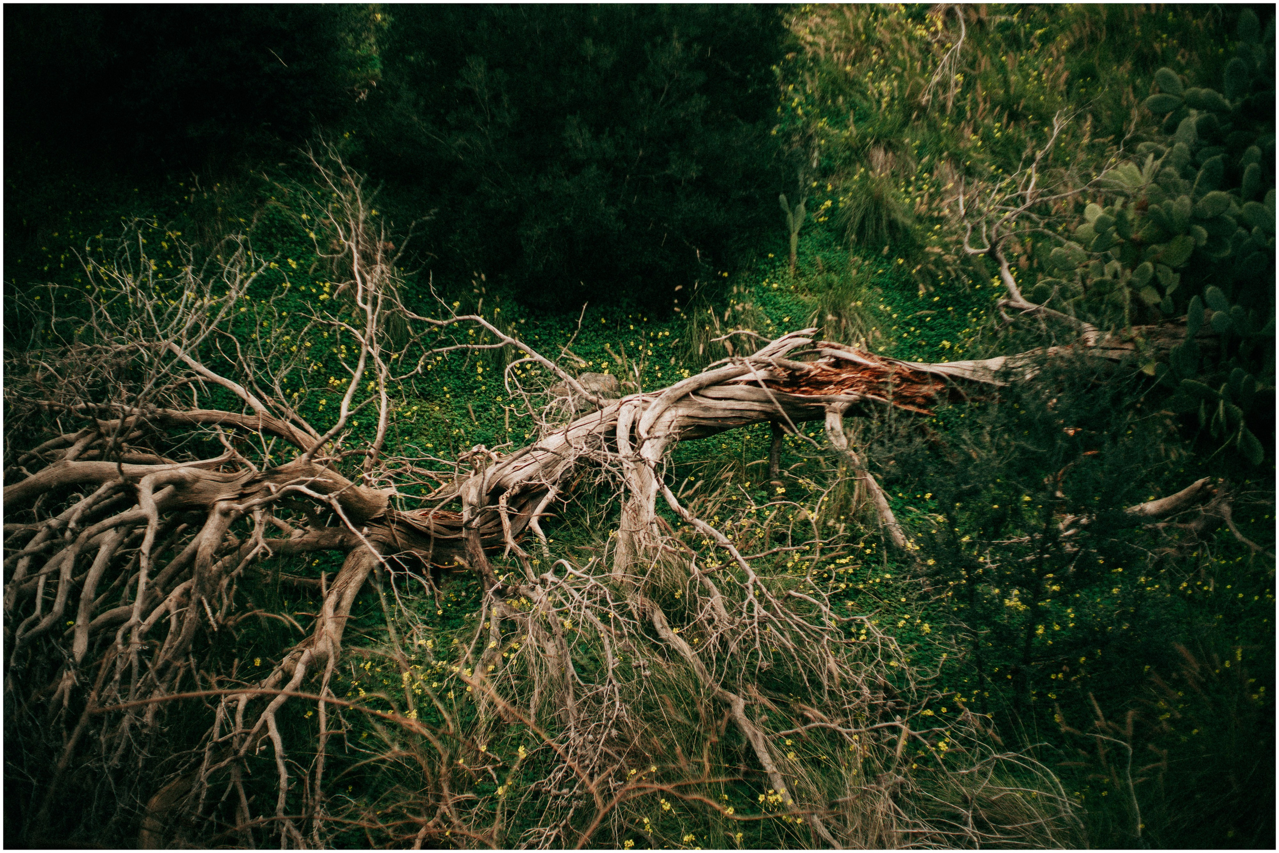 PALERMO. Photographer Inna Mendelson