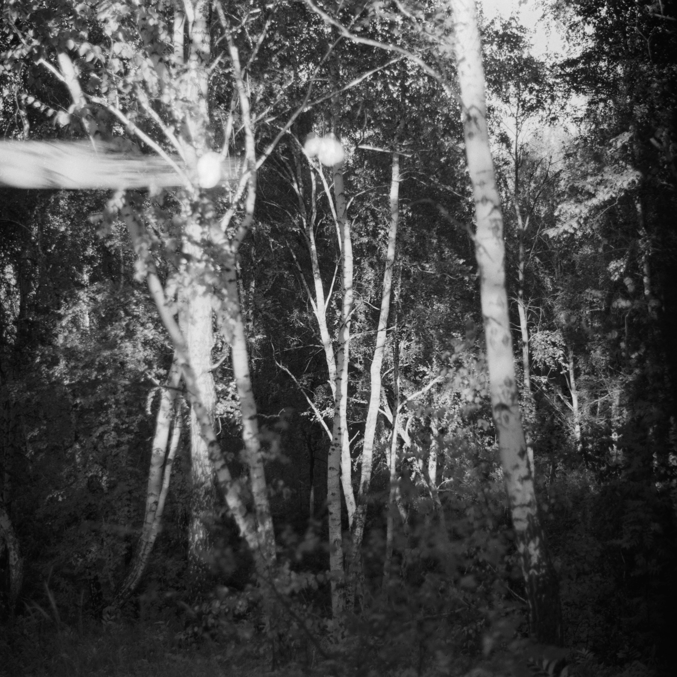 Grandmother. Ekaterina Fedorova