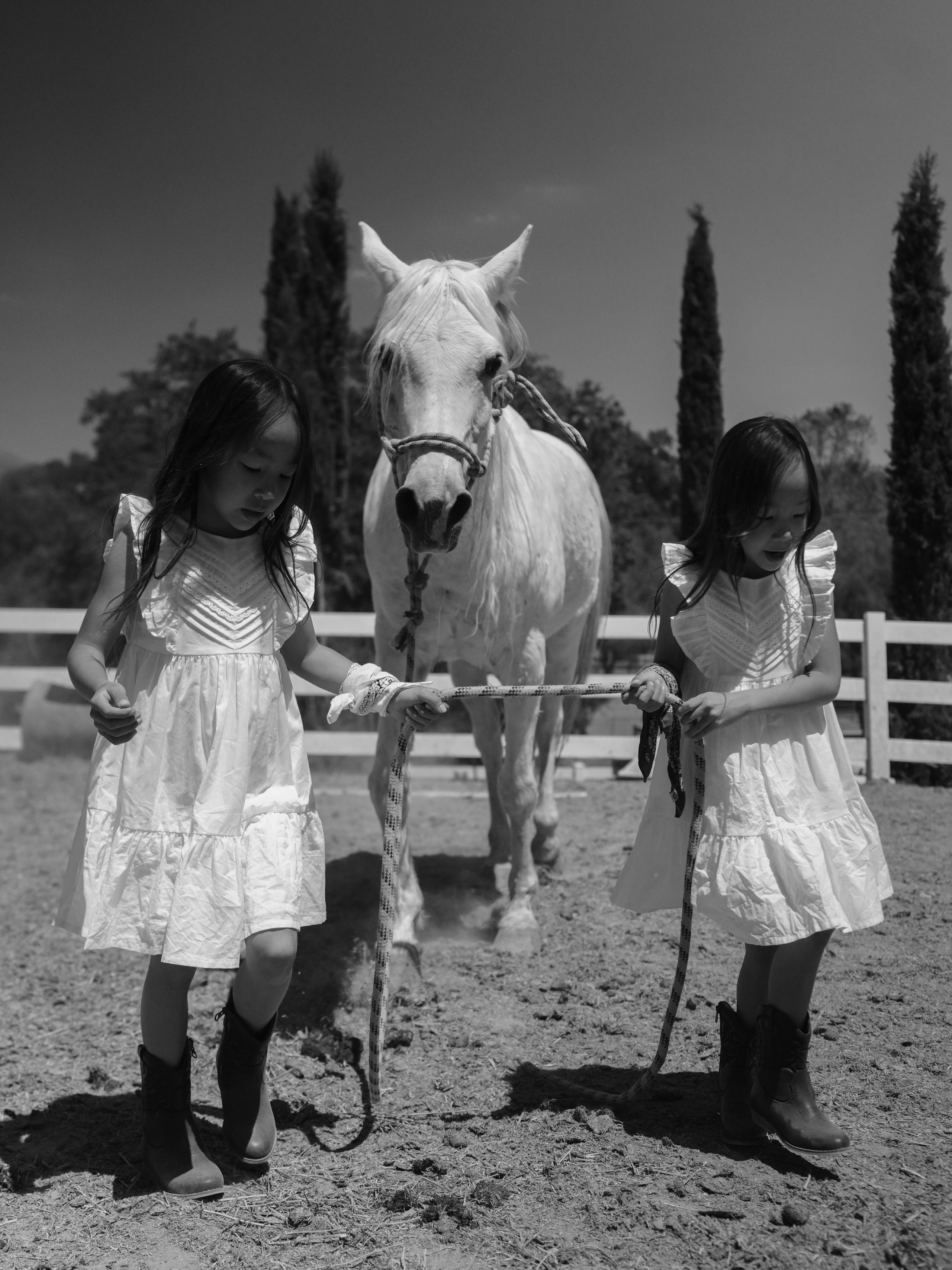 Children with horses. Фотограф и видеограф в США (и по всему миру) — Татьяна Иванова