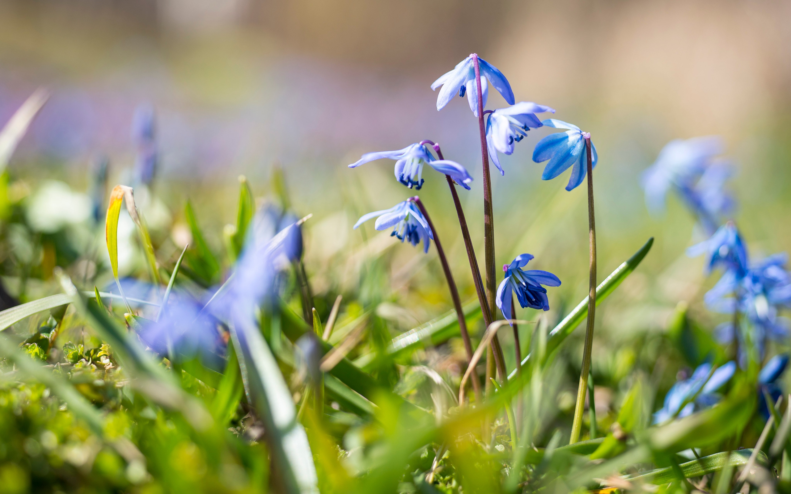 Nature. Ritvars Pujats Emotion Photographer
