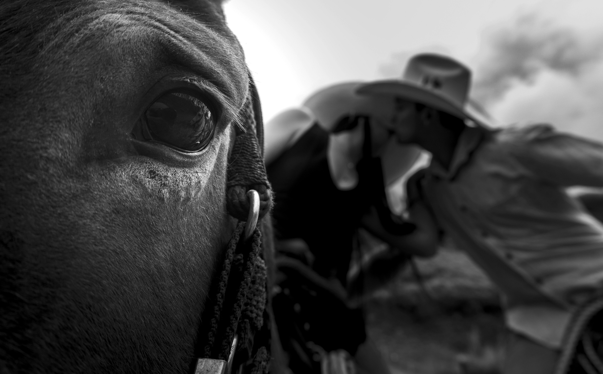 Fotógrafo de retratos fotógrafo de estilo de vida fotografía de locación fotografía de estudio sesión de fotos marca personal. Fotografía profesional para su evento en Caldas por SERFOTOGRAFÍA