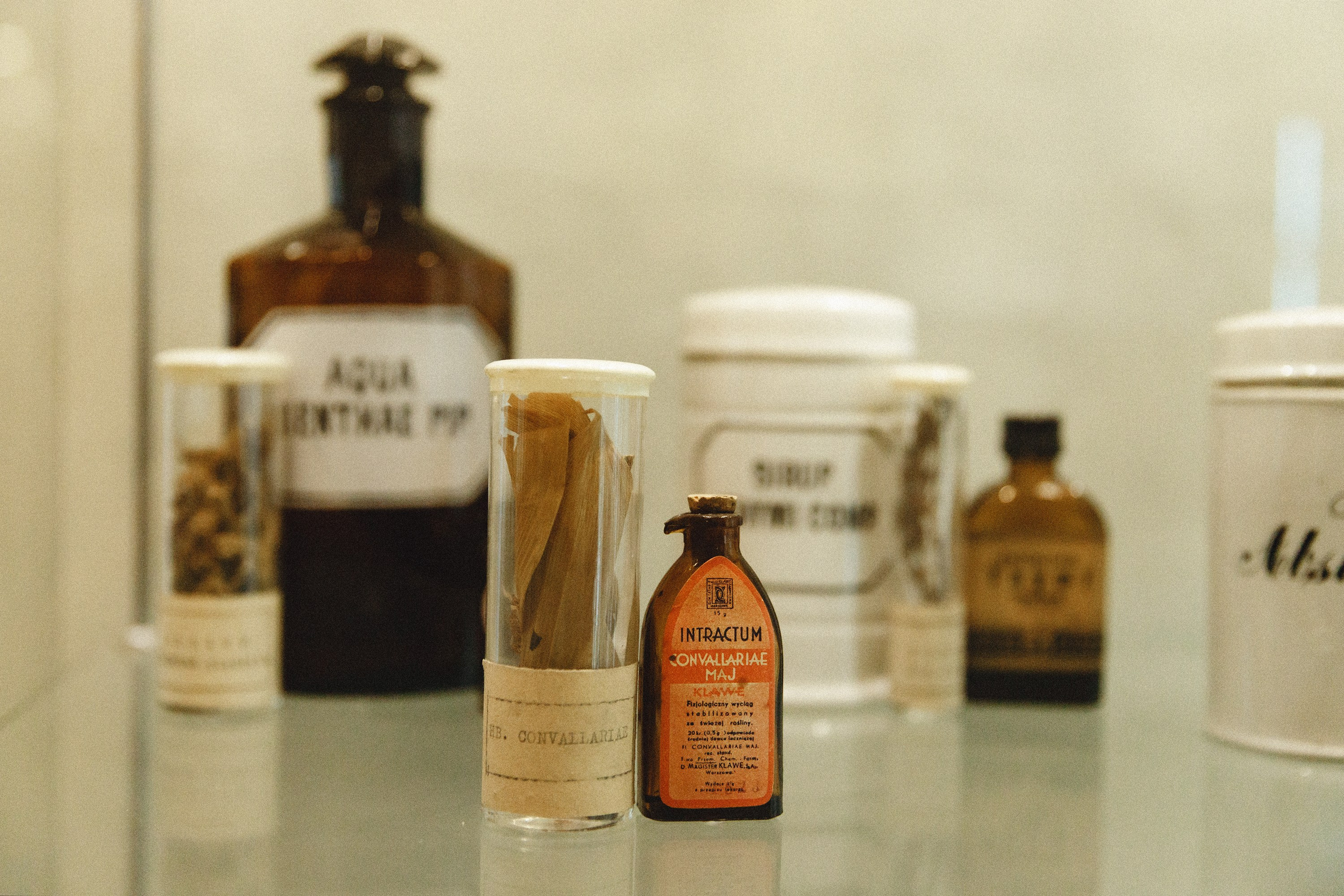 Museum of farmacy in Wroclaw. Kaja | fotograf we Wrocławiu | ludzie i psy