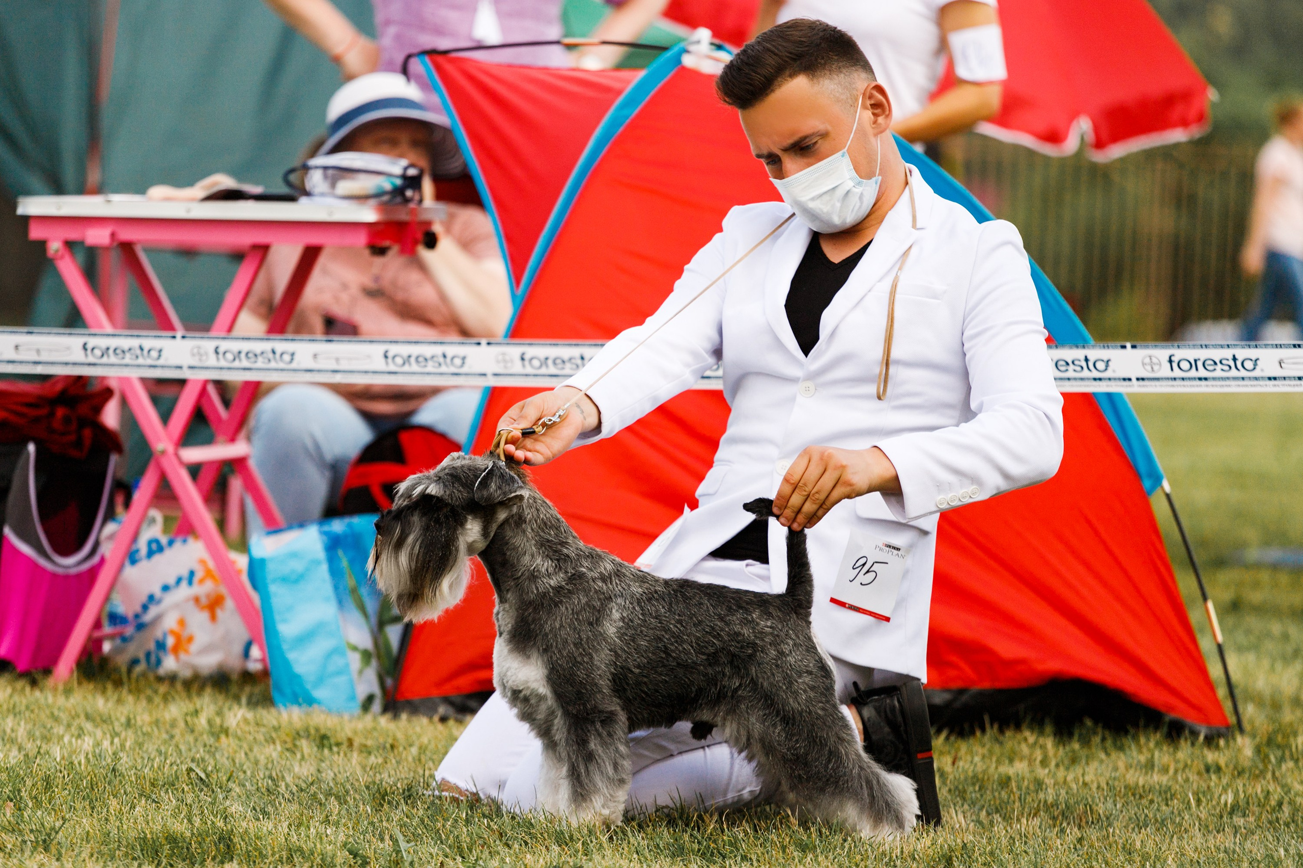 Dog shows | the best ones. Kaja | fotograf psów we Wrocławiu