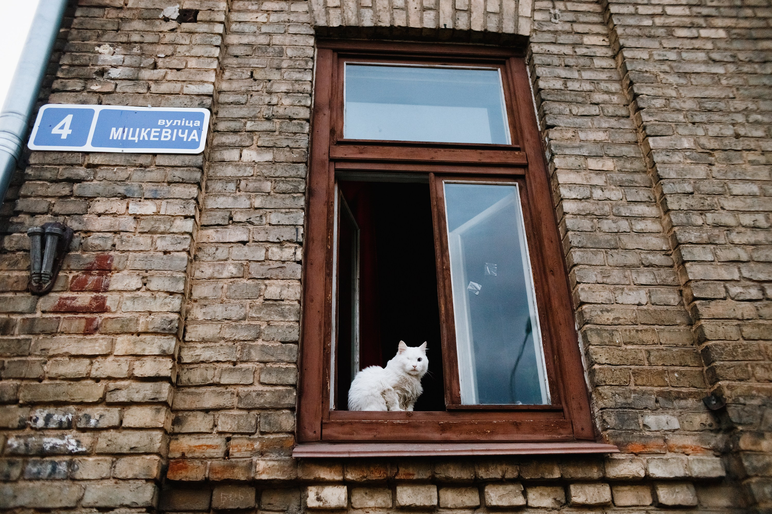 Grodno. Kaja | fotograf we Wrocławiu | ludzie i psy