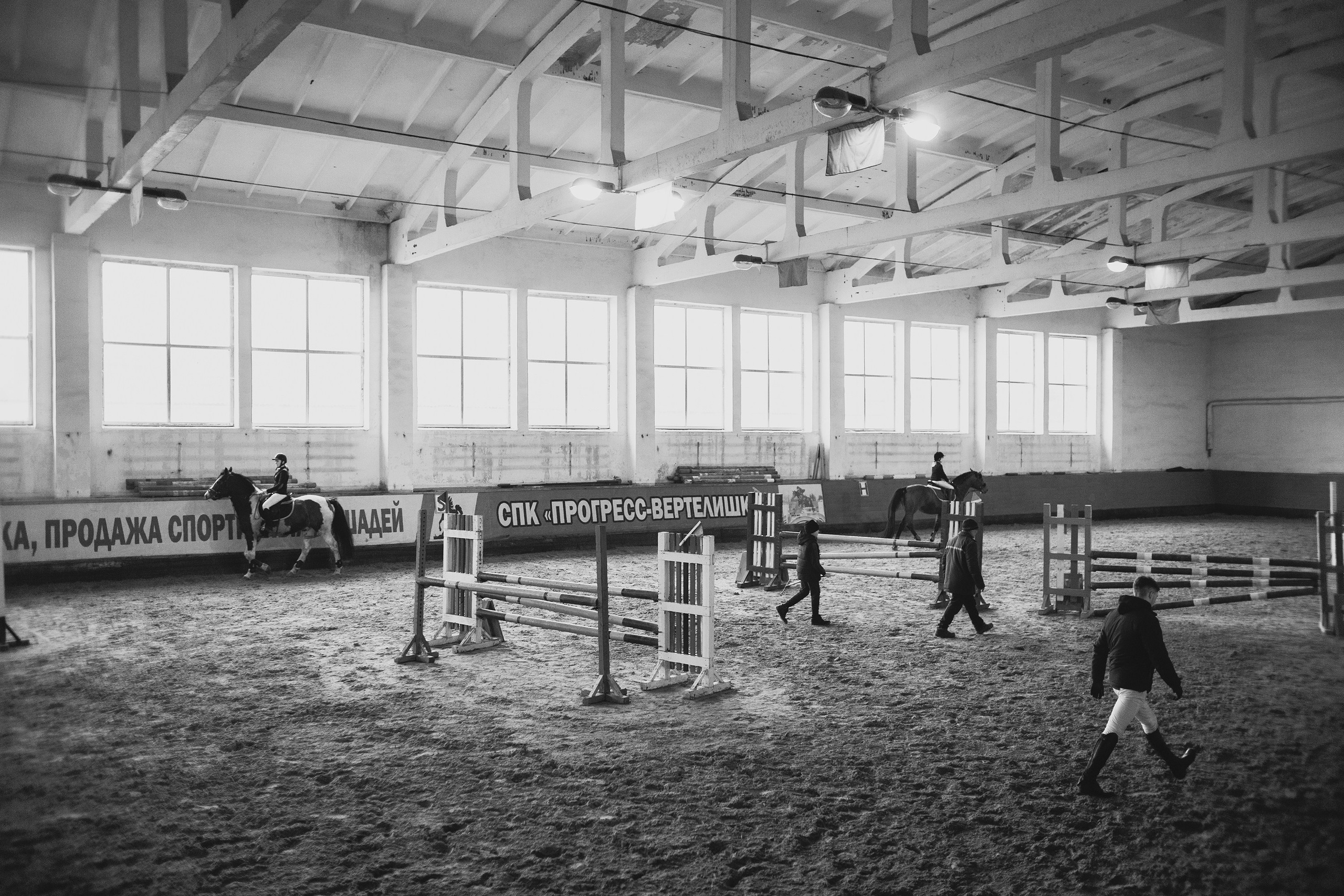 Winter show jumping in «Progress». Kaja | fotograf we Wrocławiu | ludzie i psy