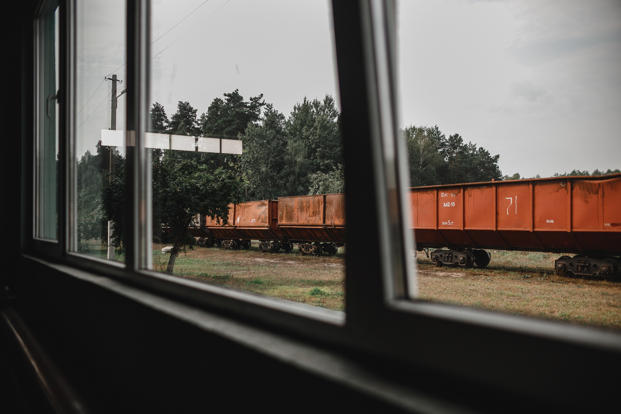 Narrow-gauge railway trip. Kaja | fotograf psów we Wrocławiu