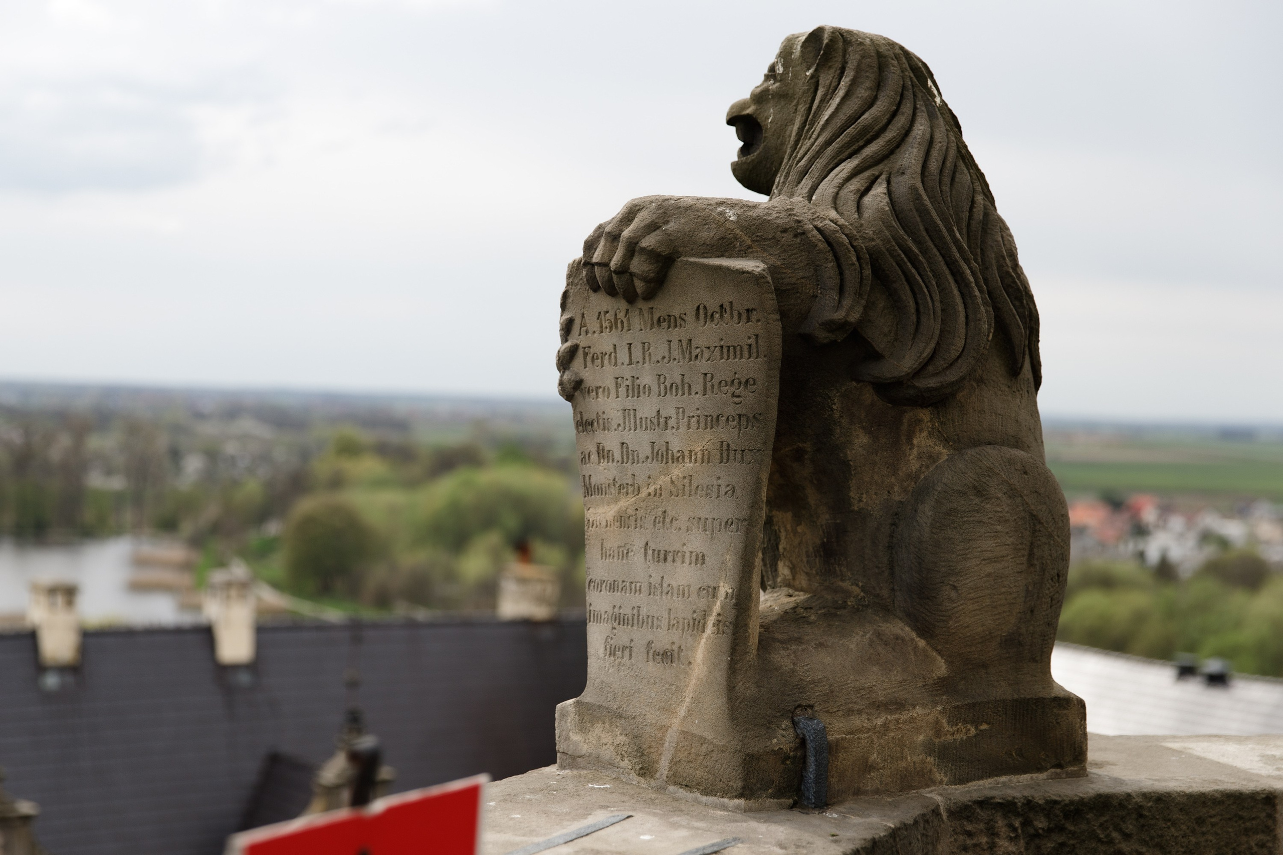 Oleśnica castle. Kaja | fotograf psów we Wrocławiu