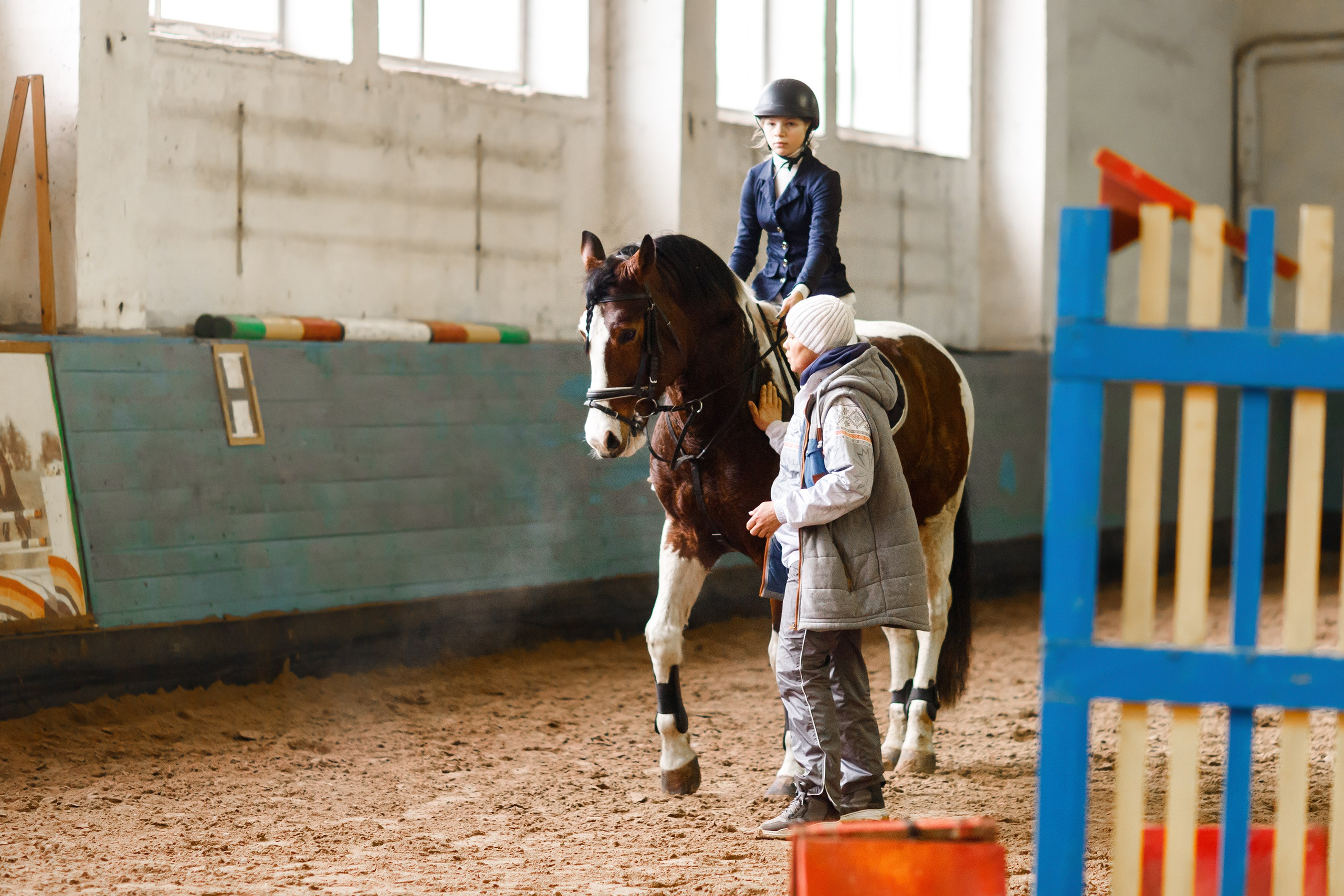 Winter show jumping in «Progress». Kaja | fotograf we Wrocławiu | ludzie i psy