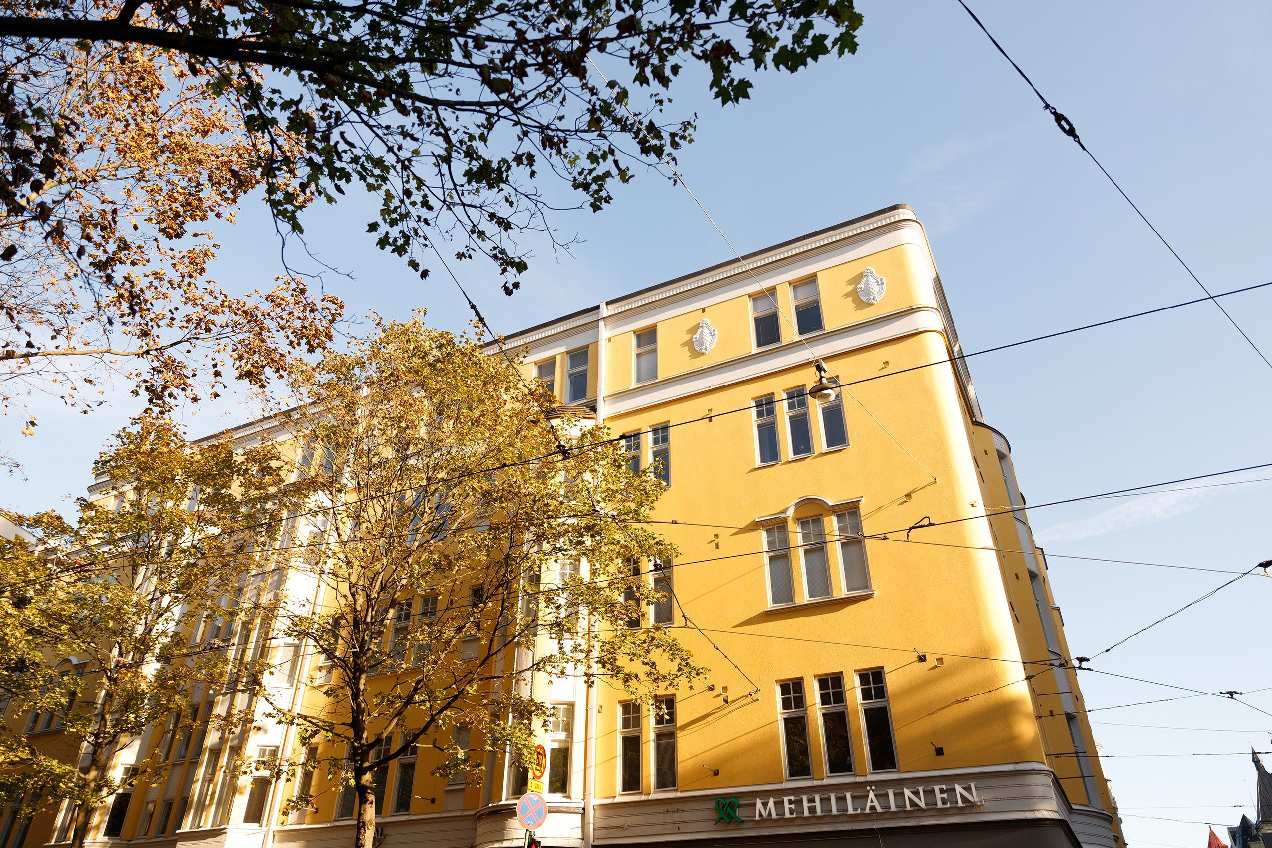 Helsinki. Kaja | fotograf psów we Wrocławiu