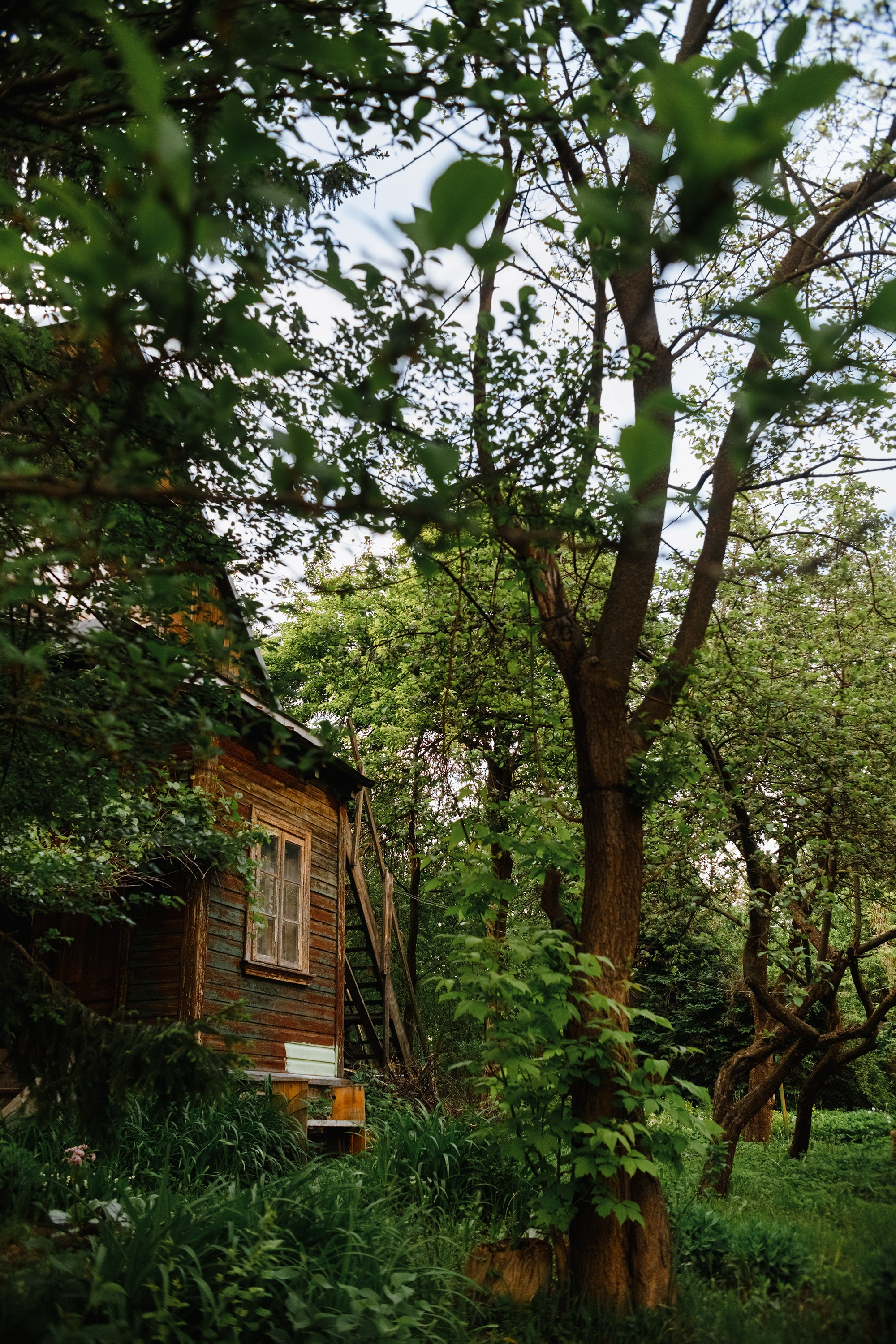 Grodno. Kaja | fotograf we Wrocławiu | ludzie i psy