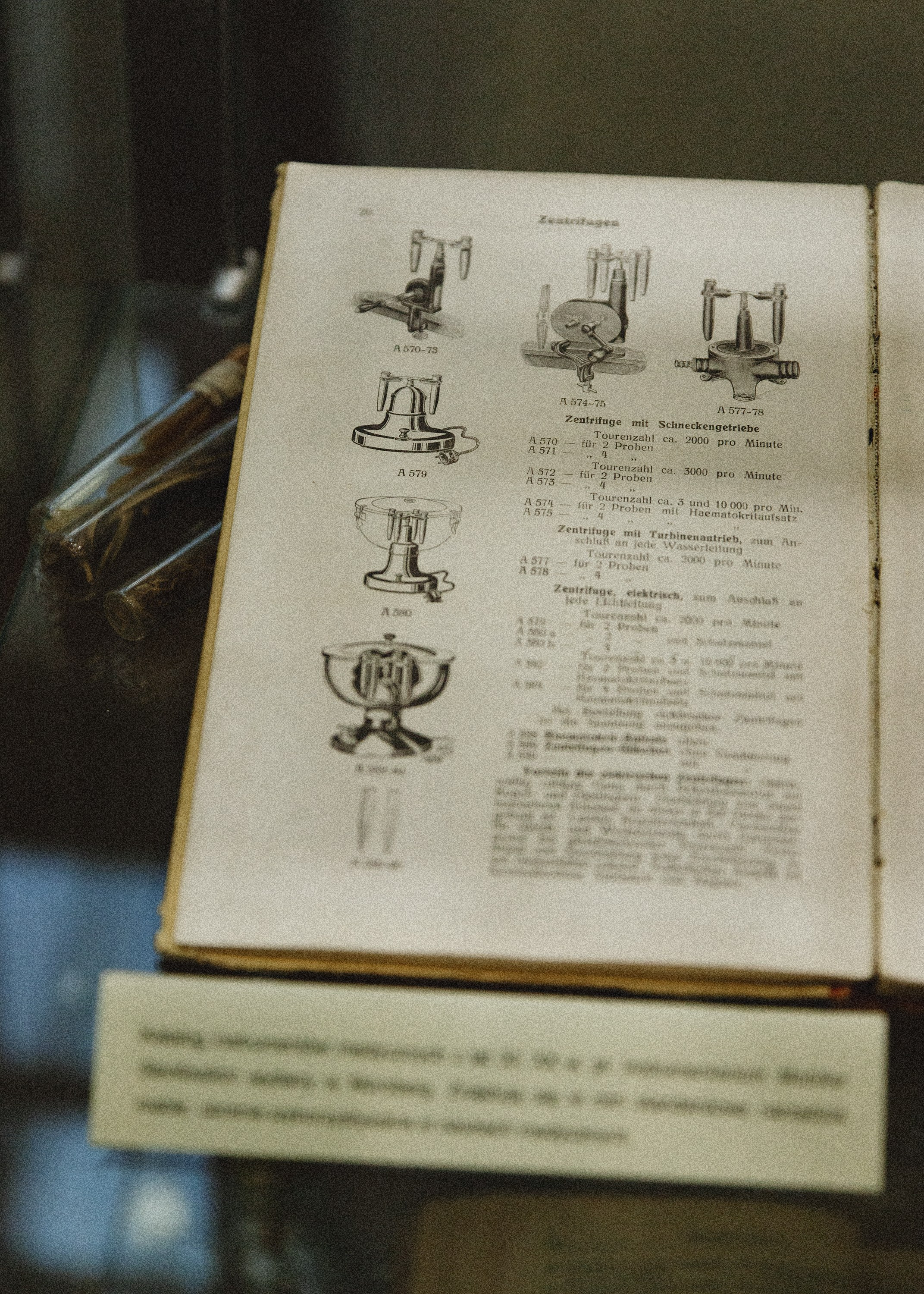 Museum of farmacy in Wroclaw. Kaja | fotograf we Wrocławiu | ludzie i psy