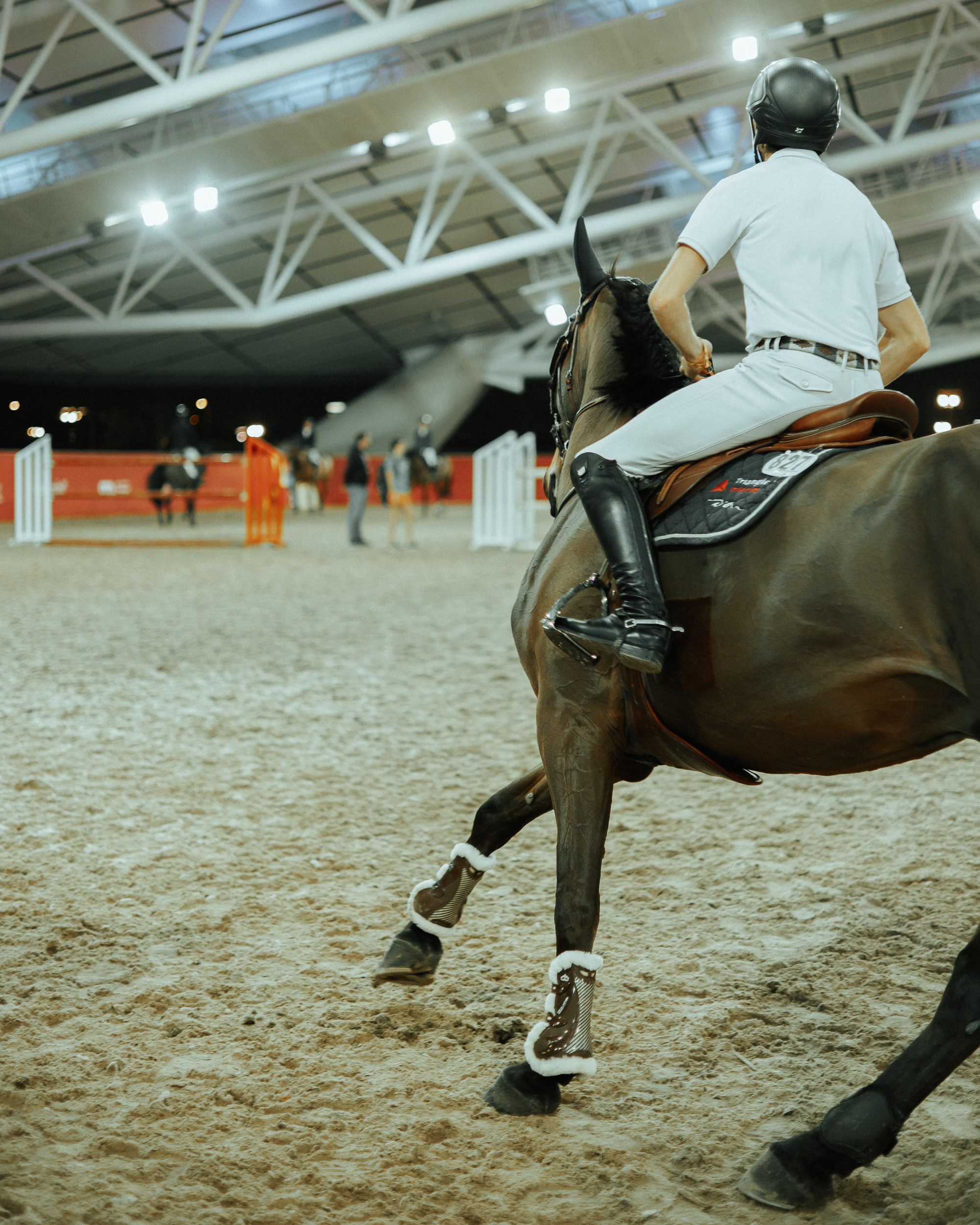 Antoine Ermann. Regina Turbin — official website