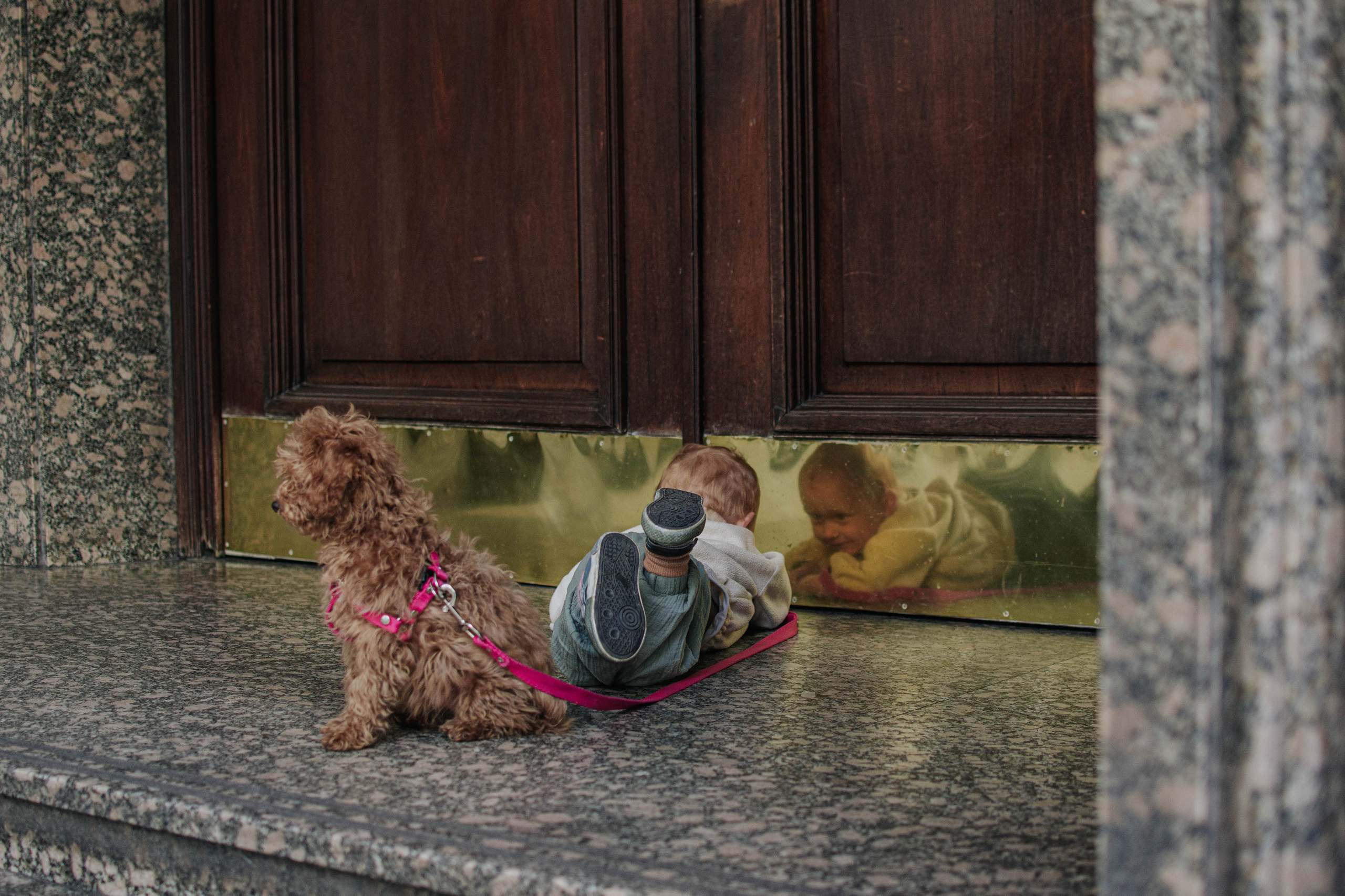 Walking around the home. Buenos Aires. Photography. Photographer @elmirkami in the city of Buenos Aires