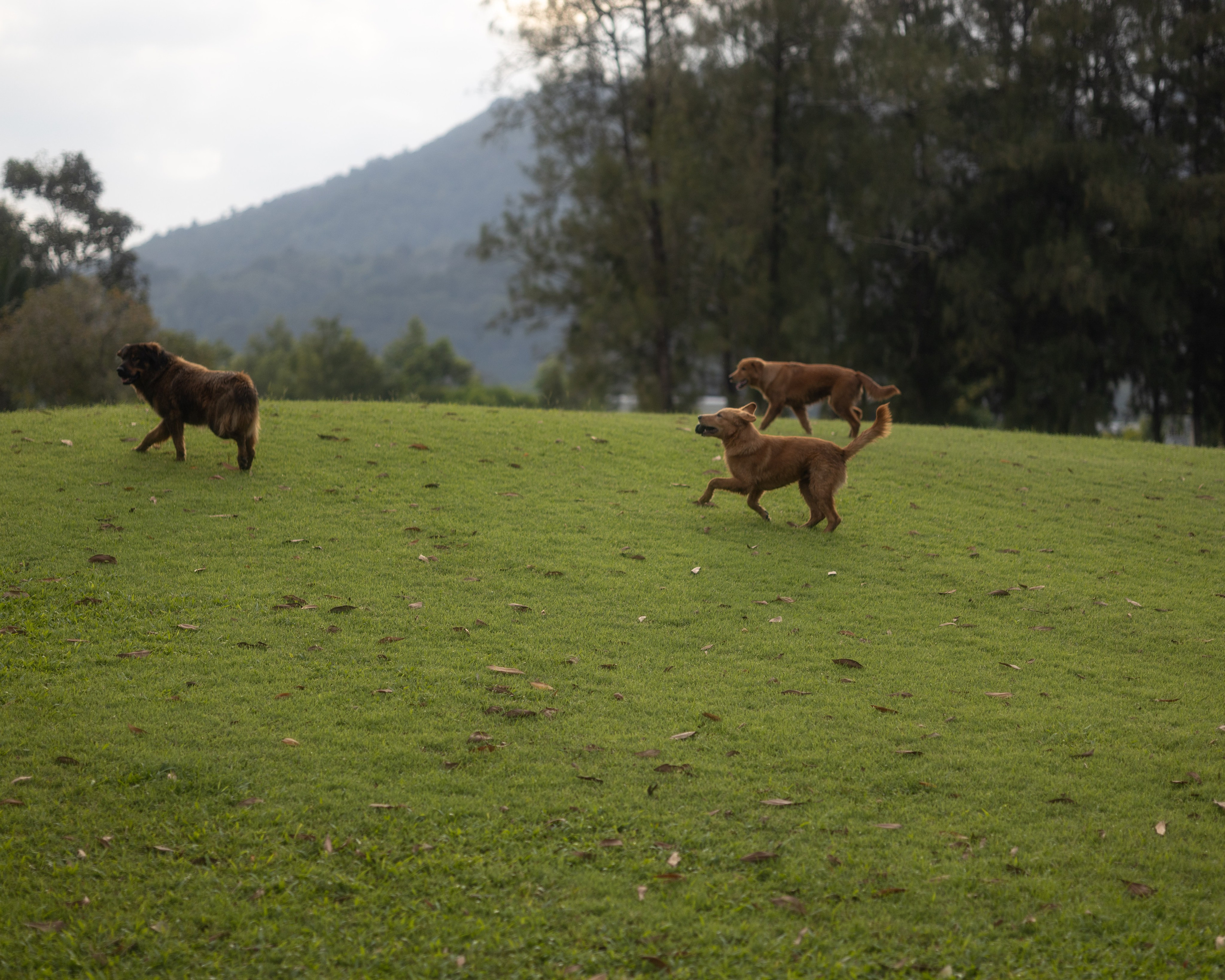 Anastasia. Maria Mishina Photographer Moscow, Phuket