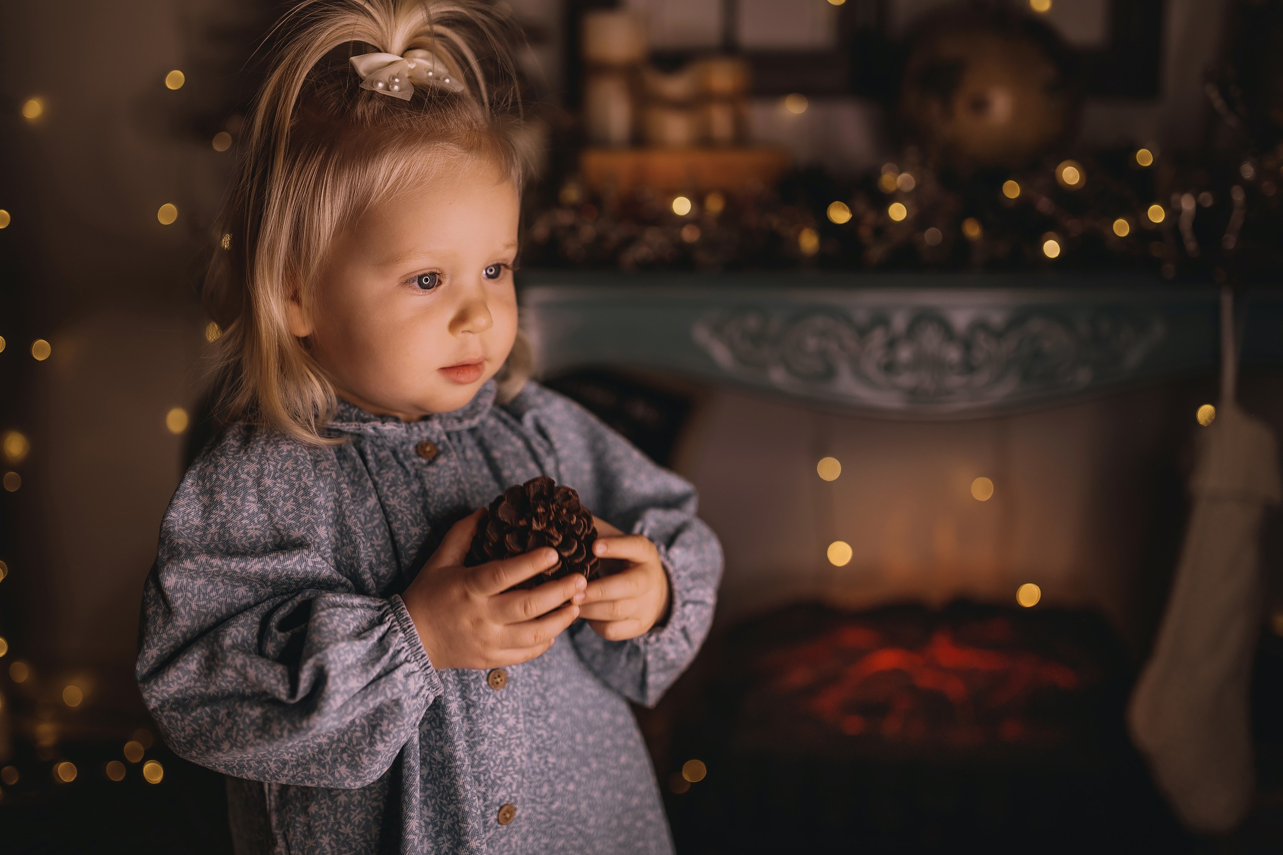 12.08.2025 Christmas Photoshoot. Wedding family event photographer in Chicago Nick Yushevich