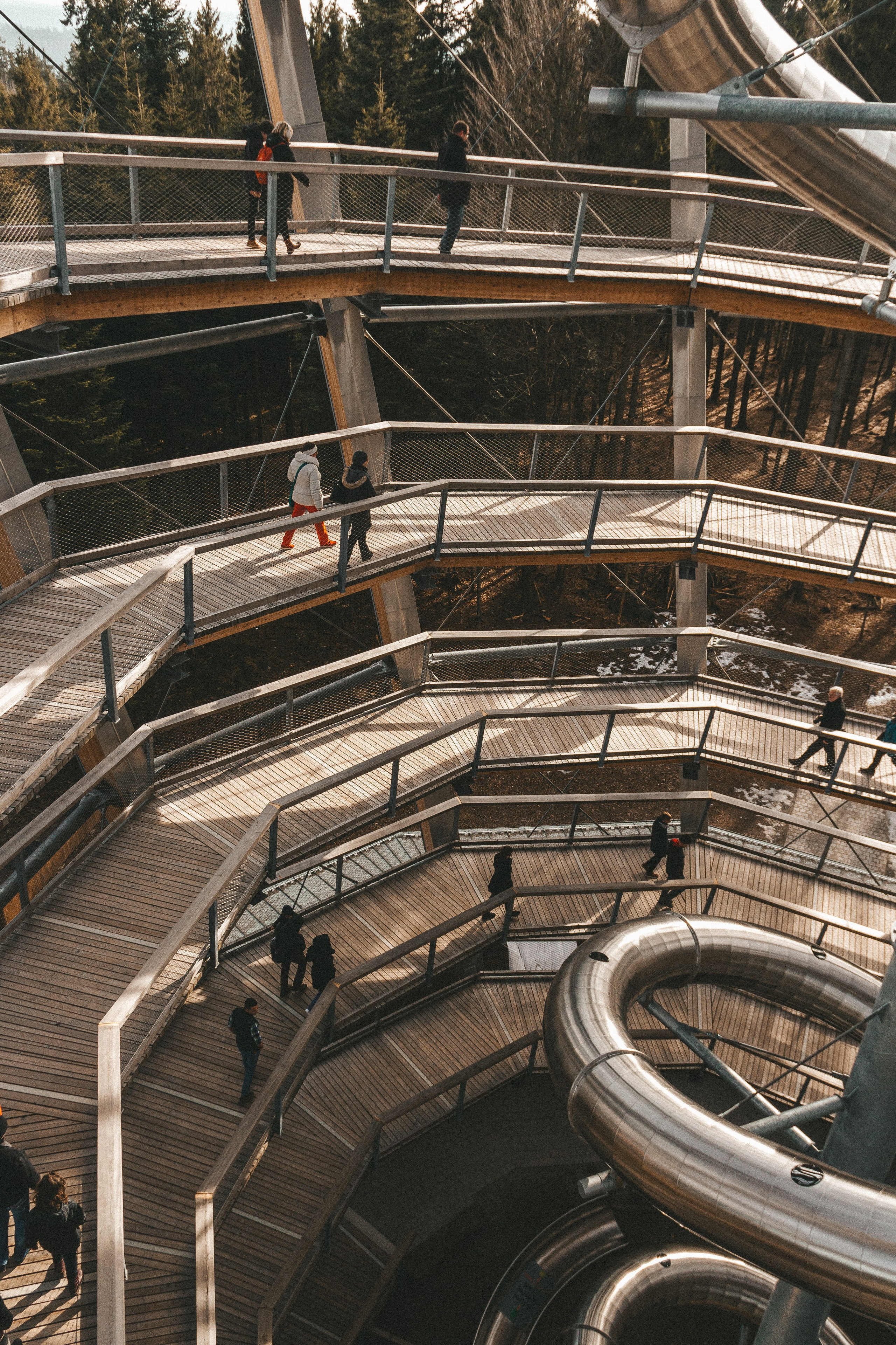 Baumwipfelpfad in Bad Wildbad. Maria Chistyakovа — Fotografin in Karlsruhe, Baden-Baden und Umgebung