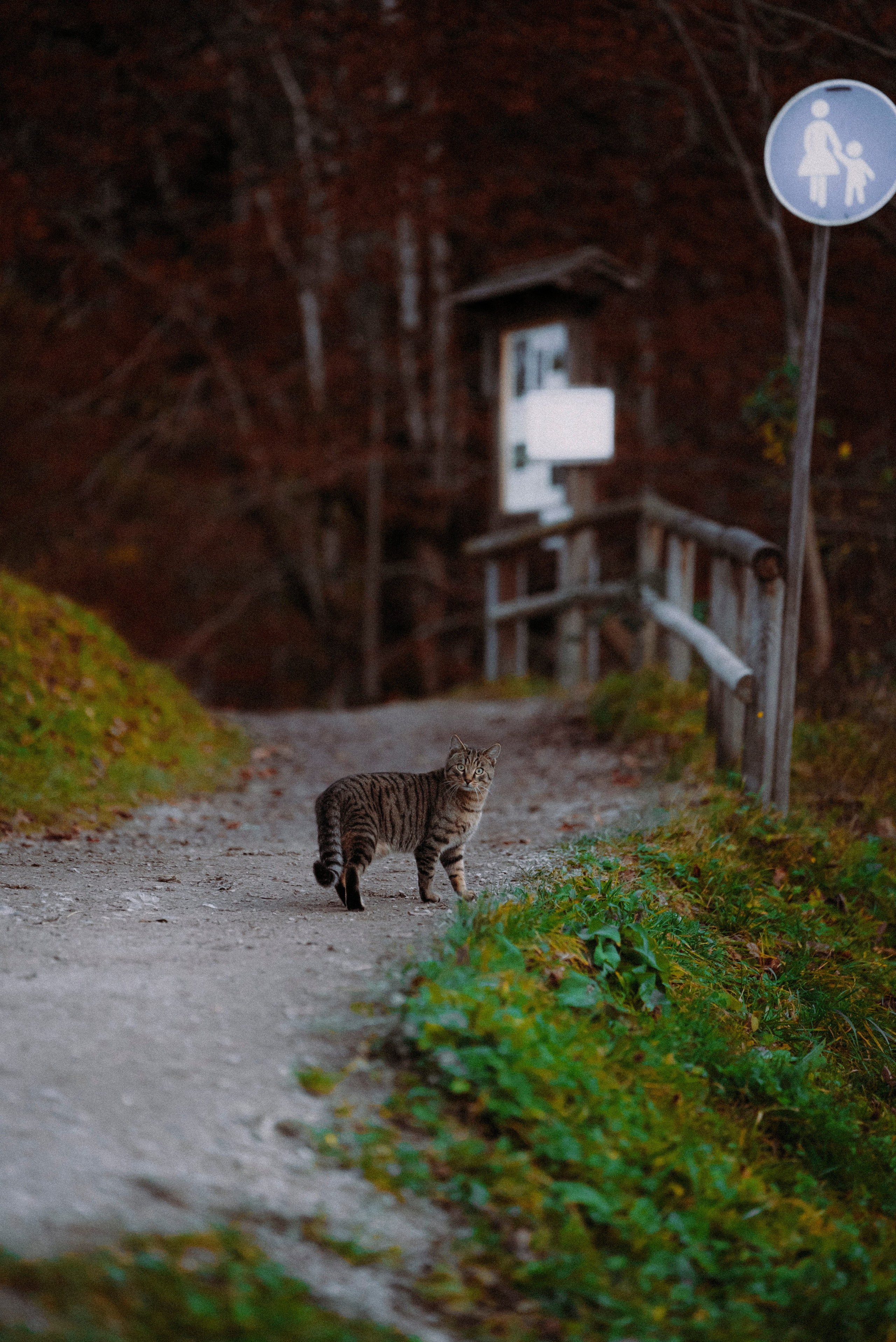 ЕВРОТУР. Стрит-фотография, полная абсурда, идиотизма и красоты