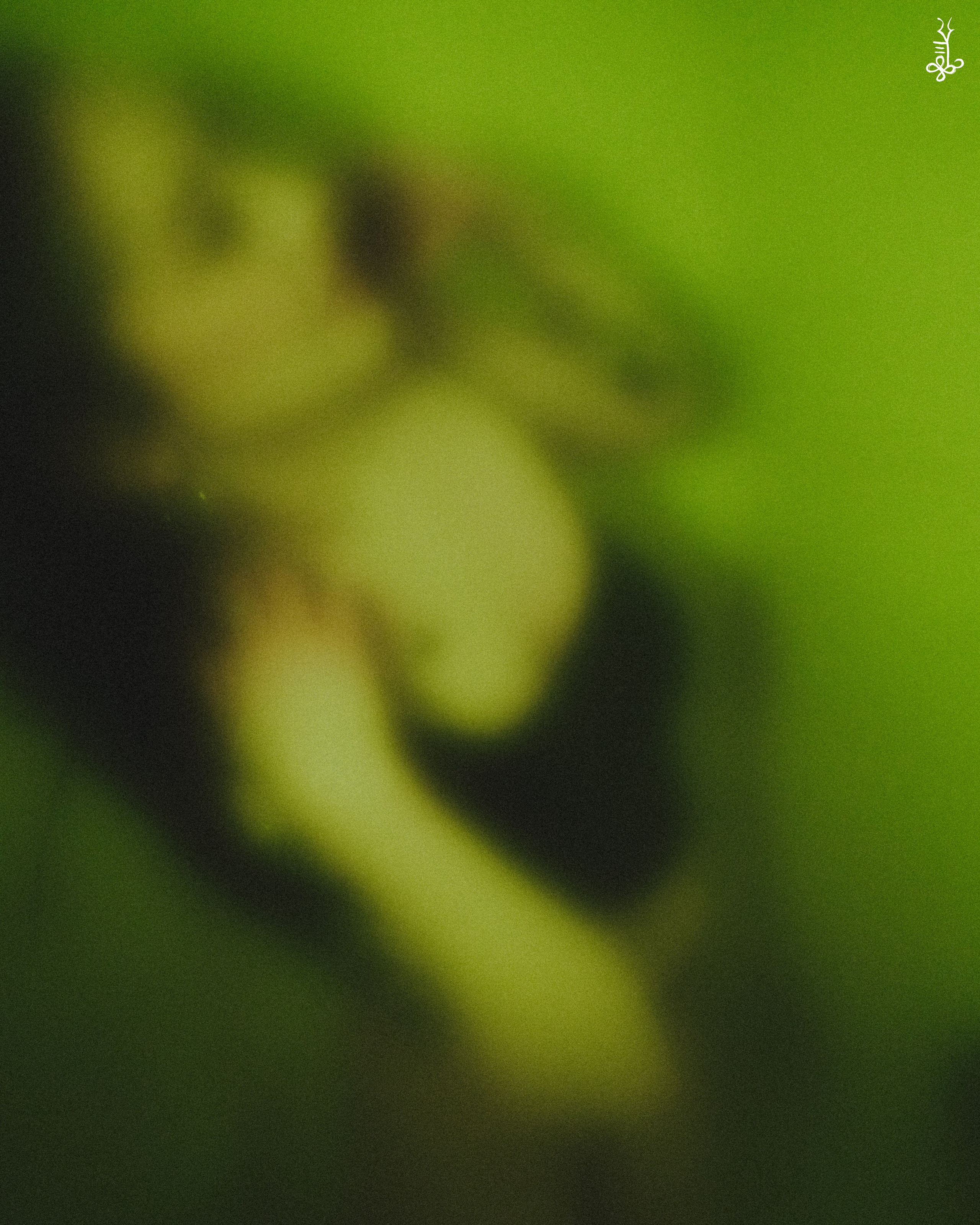 HALIANA. Ke’Ondris