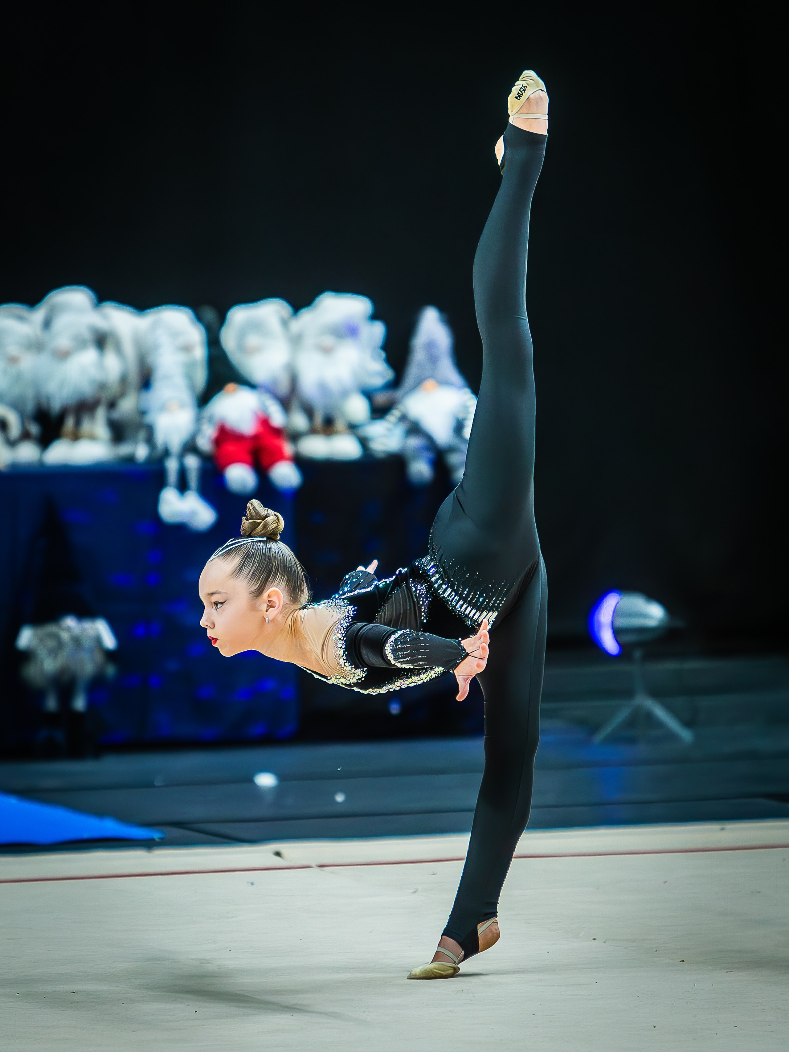 Галерея 1. Спортивная фотография, видео, трансляции