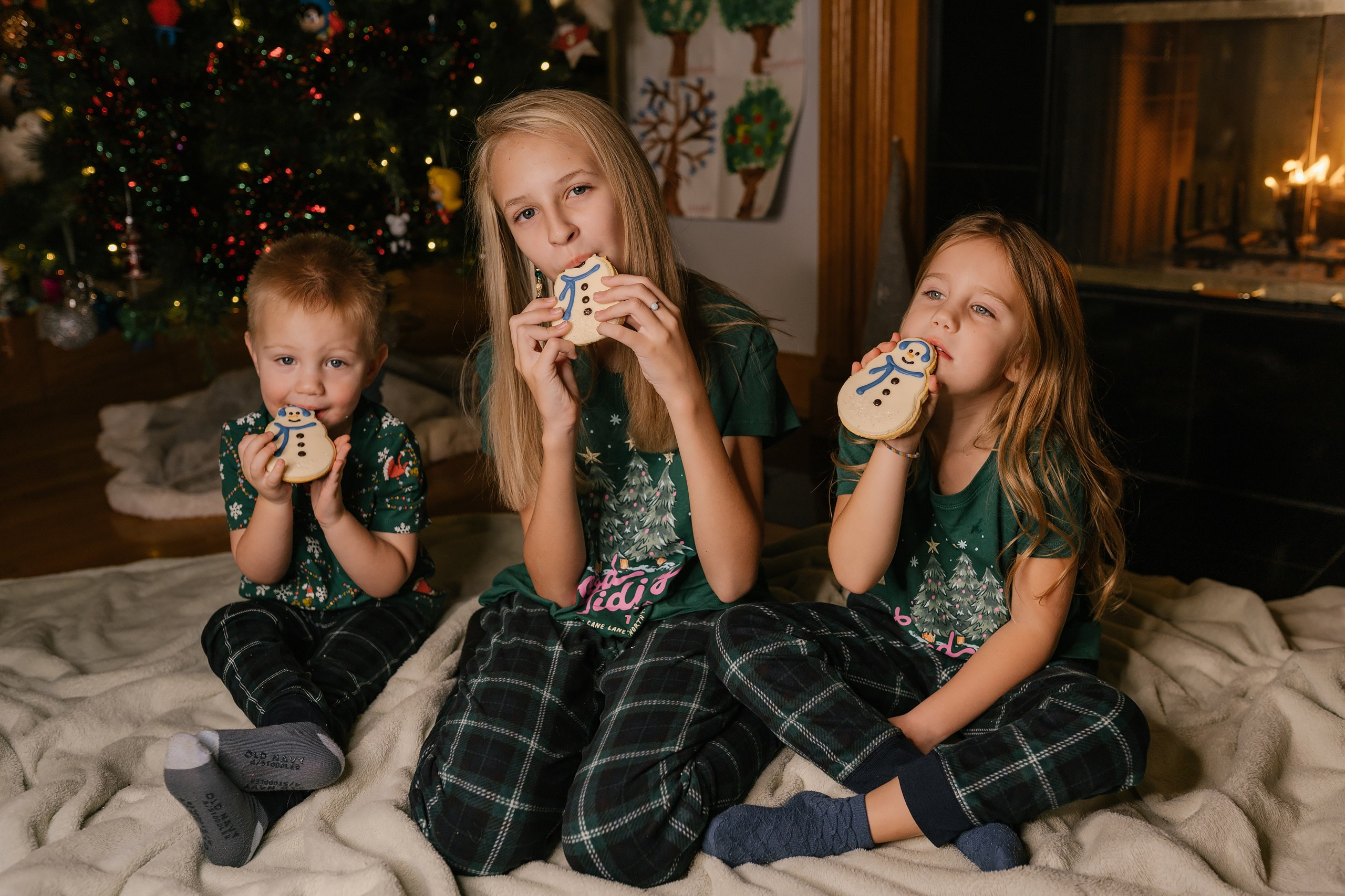 12.07.2025 Christmas Photoshoot. Wedding family event photographer in Chicago Nick Yushevich