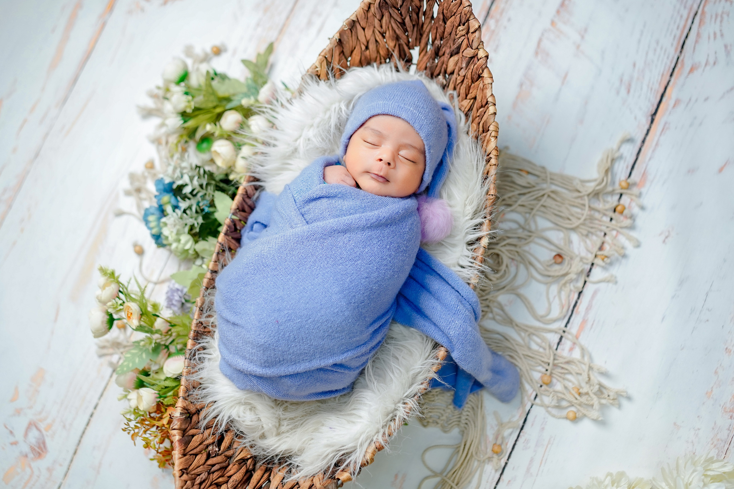 New born. TNF photo & filming