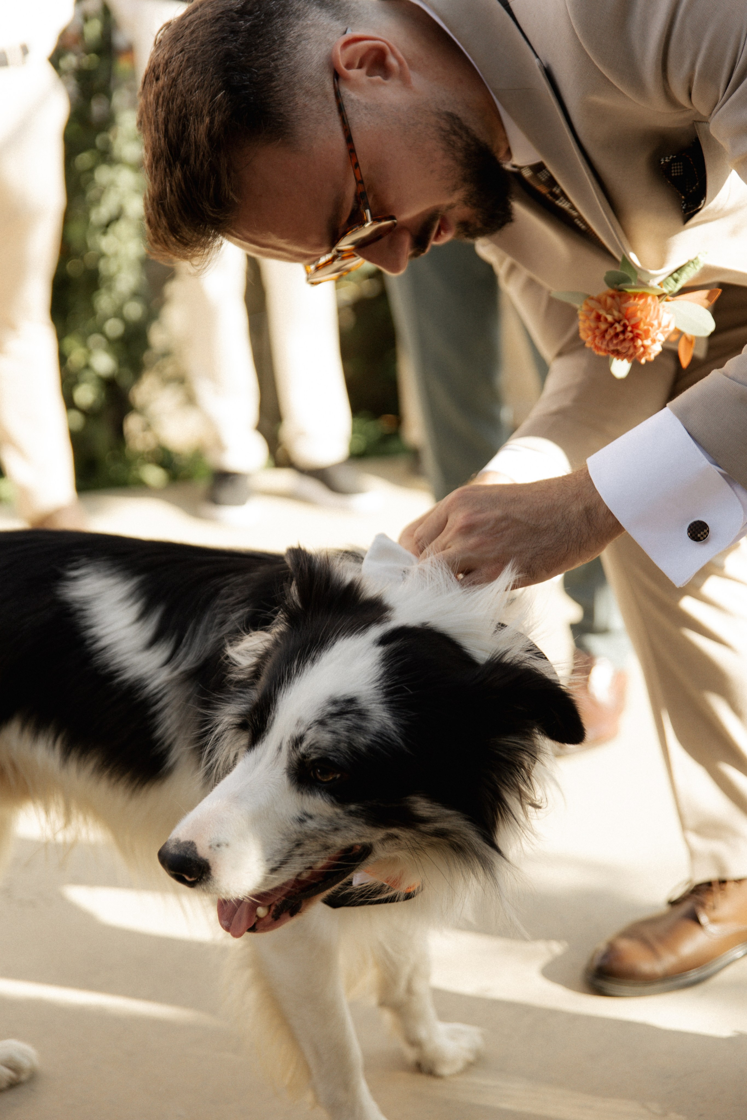 Wedding at Province Timisoara | Cristina & Robert. Wedding photographer and videographer based in Timisoara, Romania