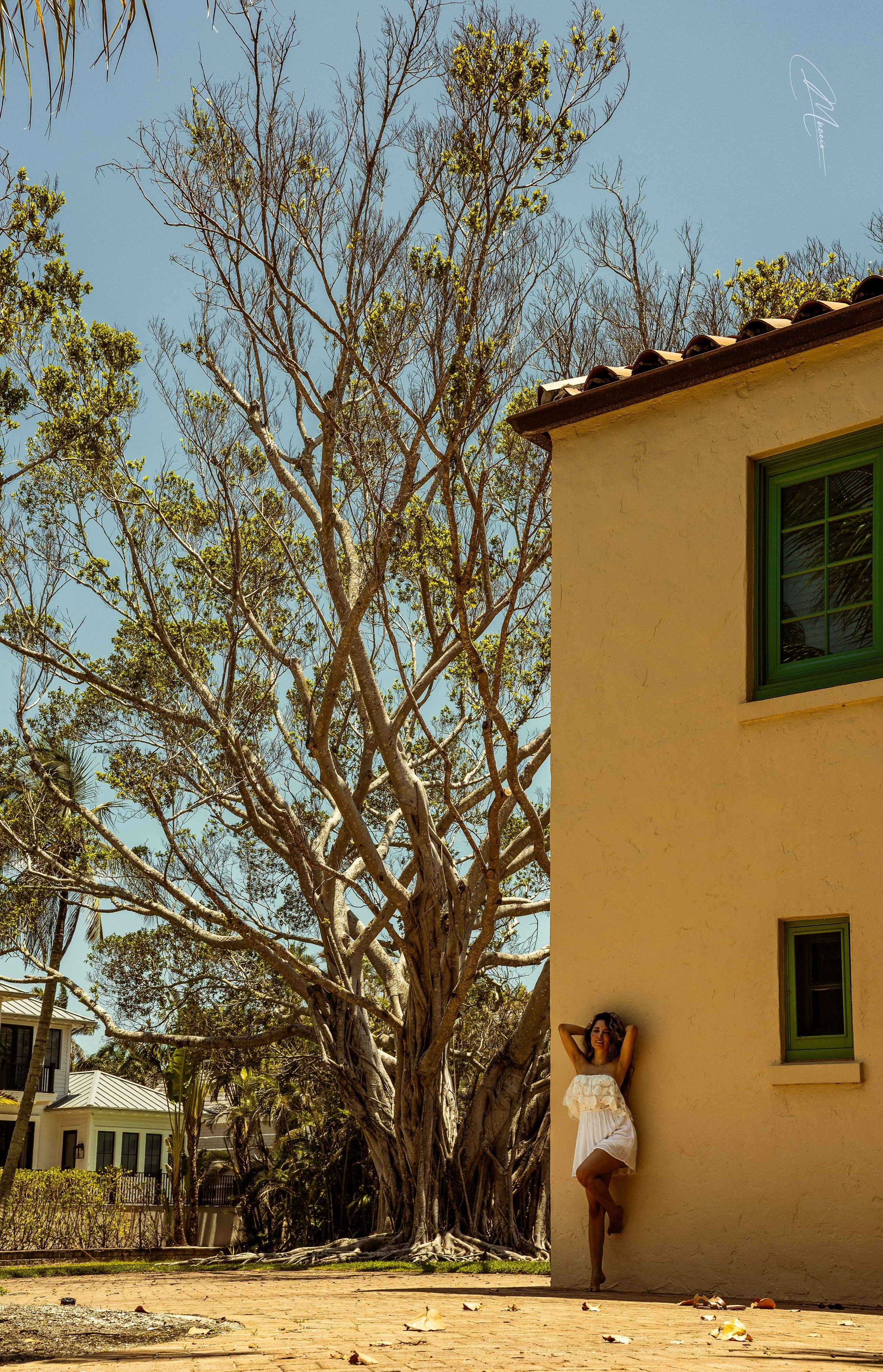 Summer 2025 Series. Out and About 239