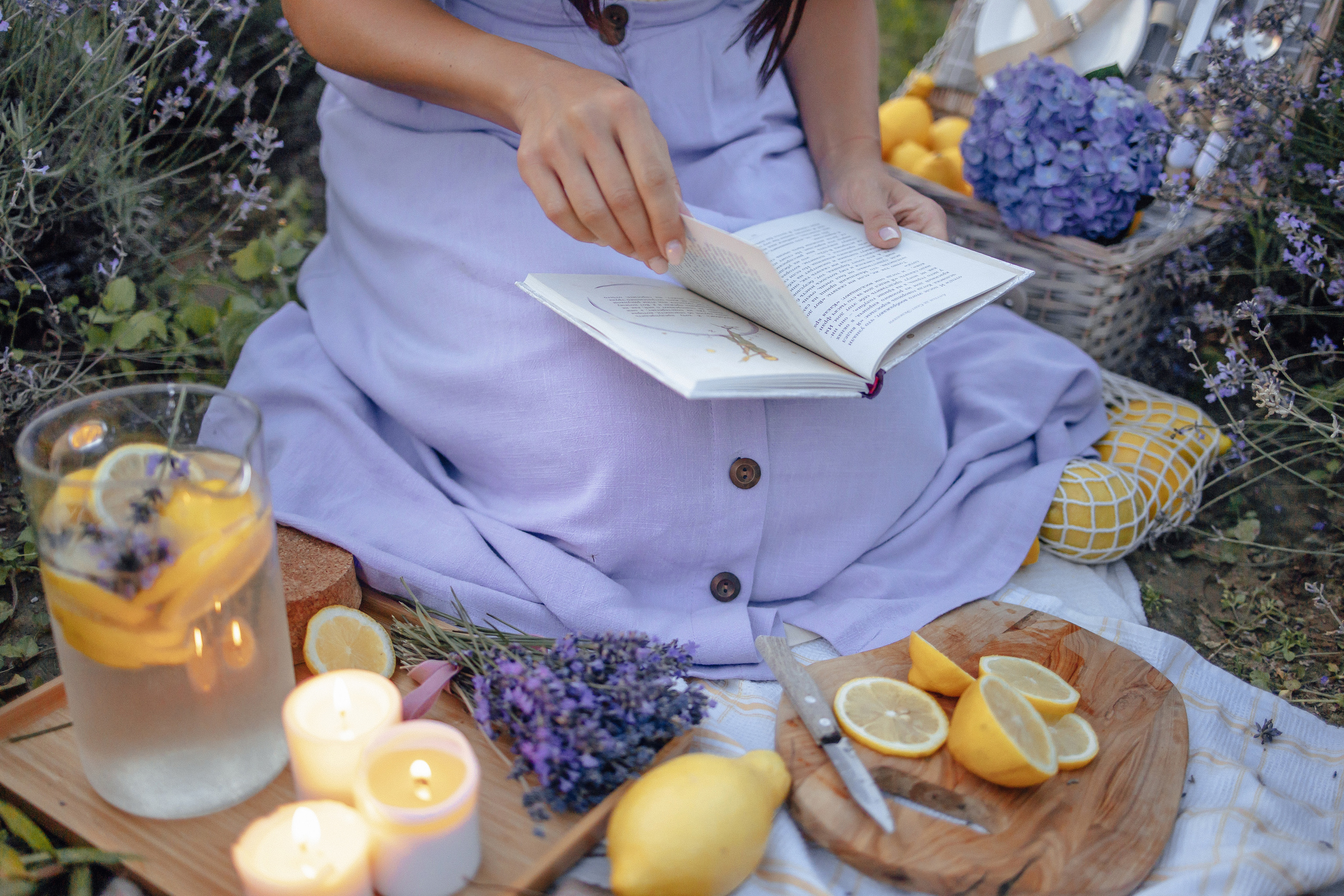 Lavendel. Фотограф в Мюнхене Анастасия Воробцова