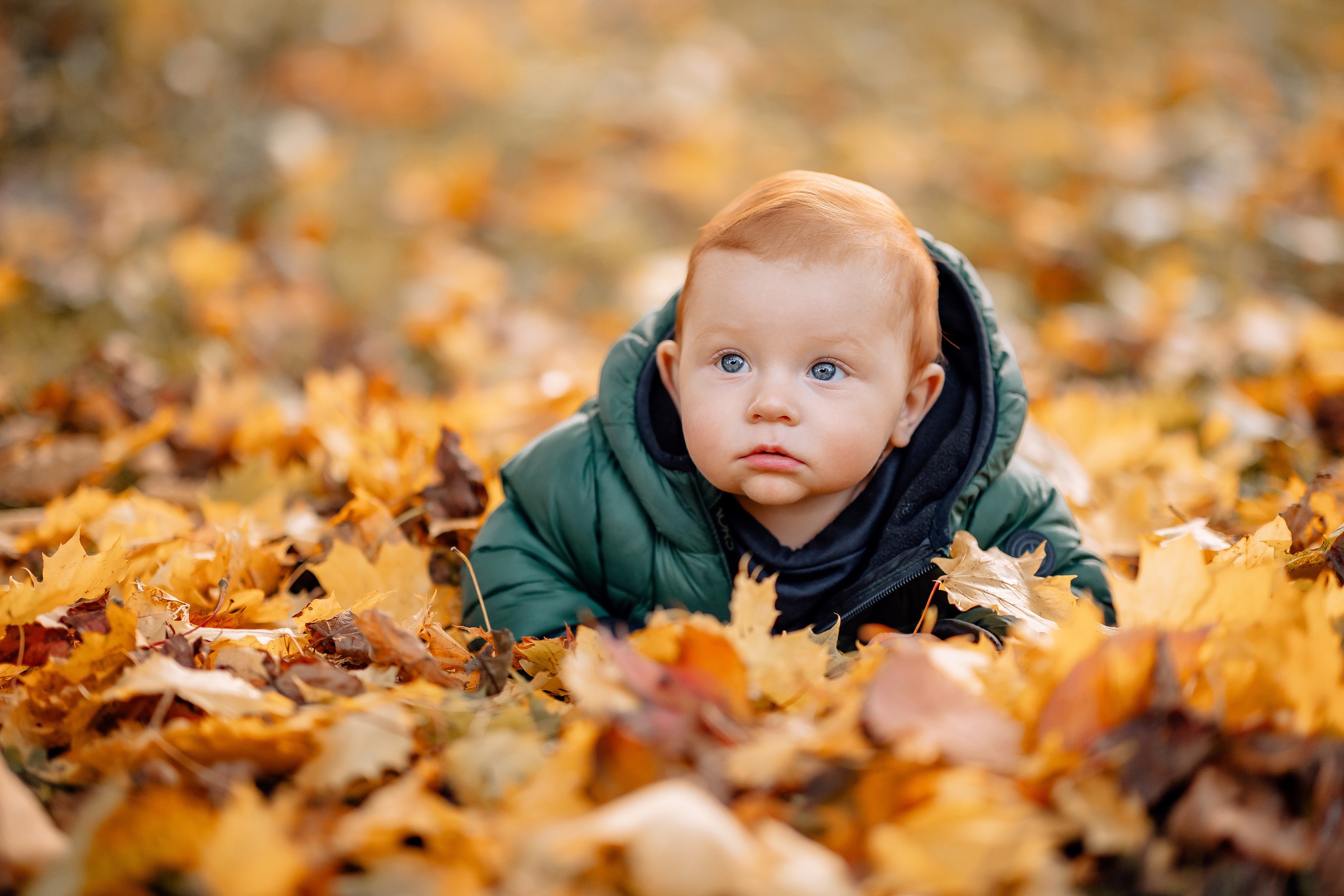 Autumn. Family photograph in Munich Anastasia Vorobtsova