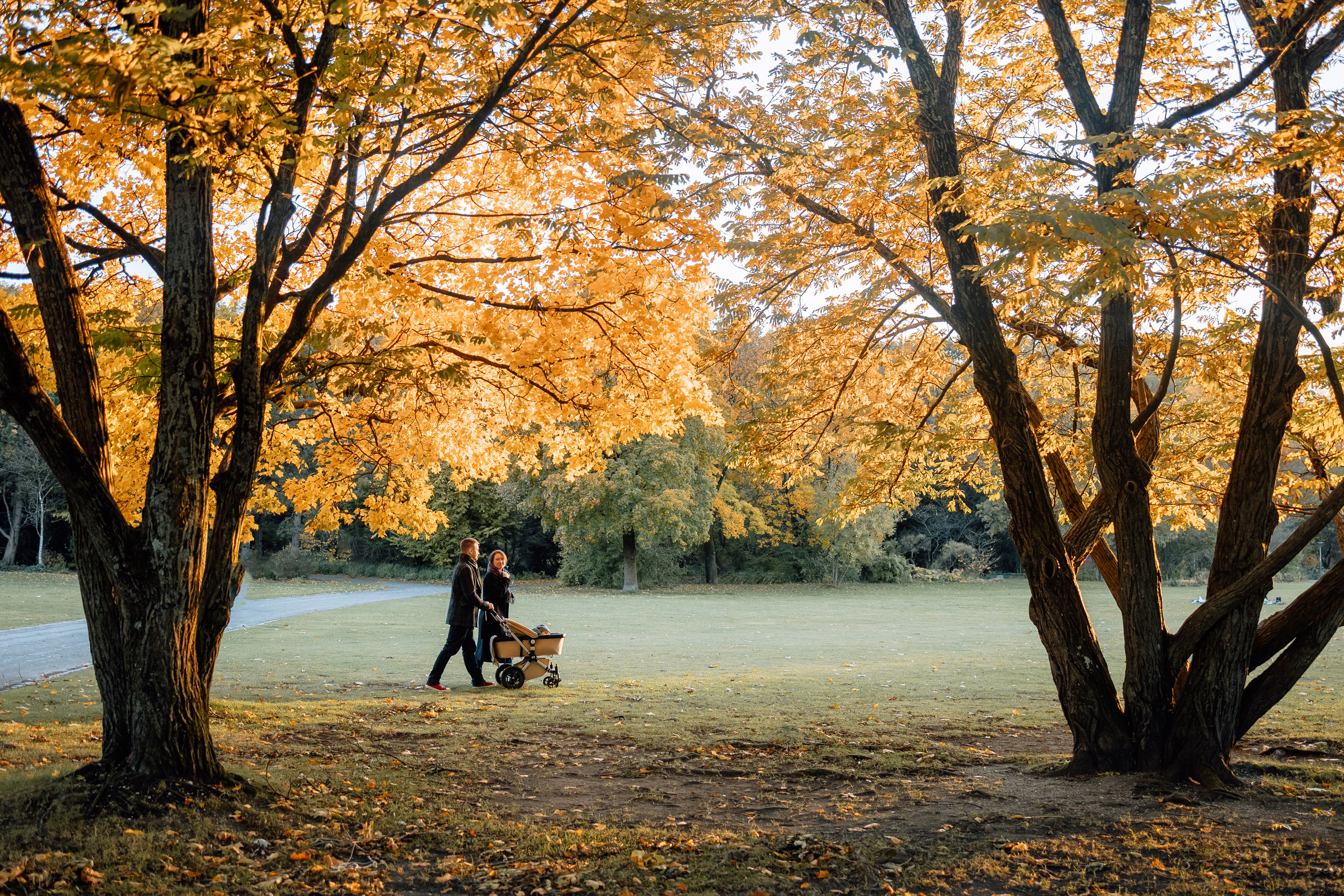 Autumn. Family photograph in Munich Anastasia Vorobtsova