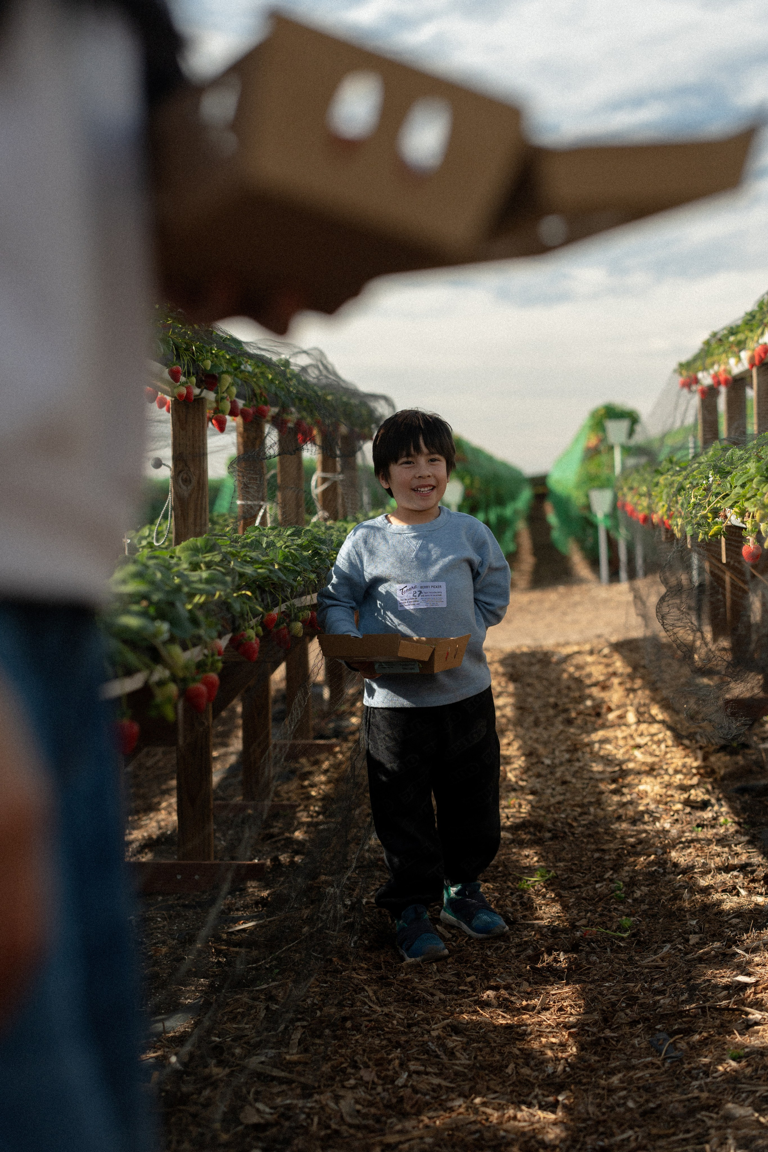 Strawberry Fun Farm. Mom and Son Shoot. Portrait, family, maternity & wedding photography & videography in SoCal Kseni Vibe